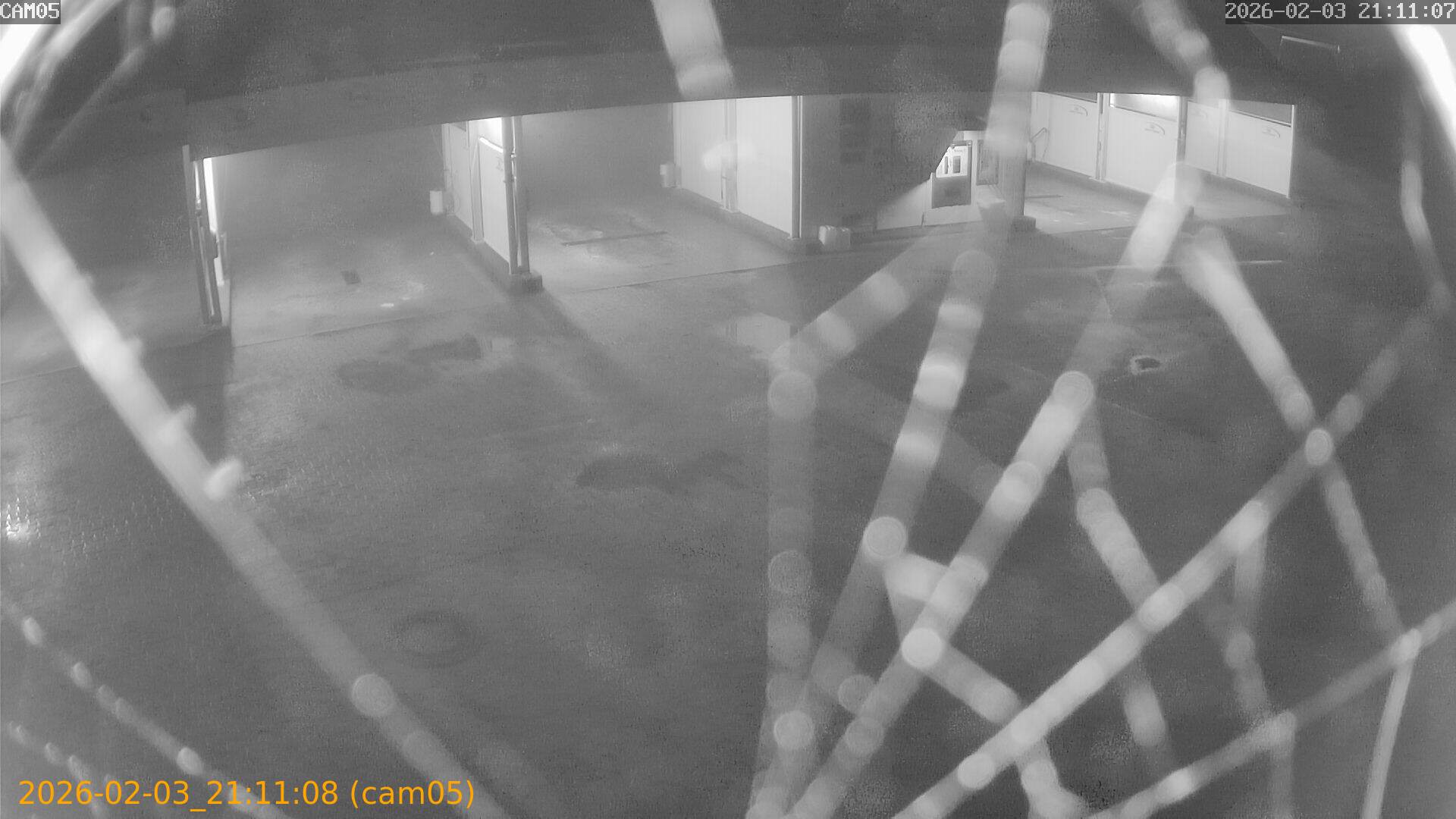 thumbnail_20260203211108