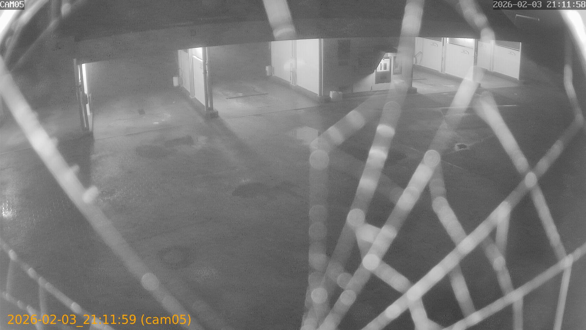 thumbnail_20260203211159