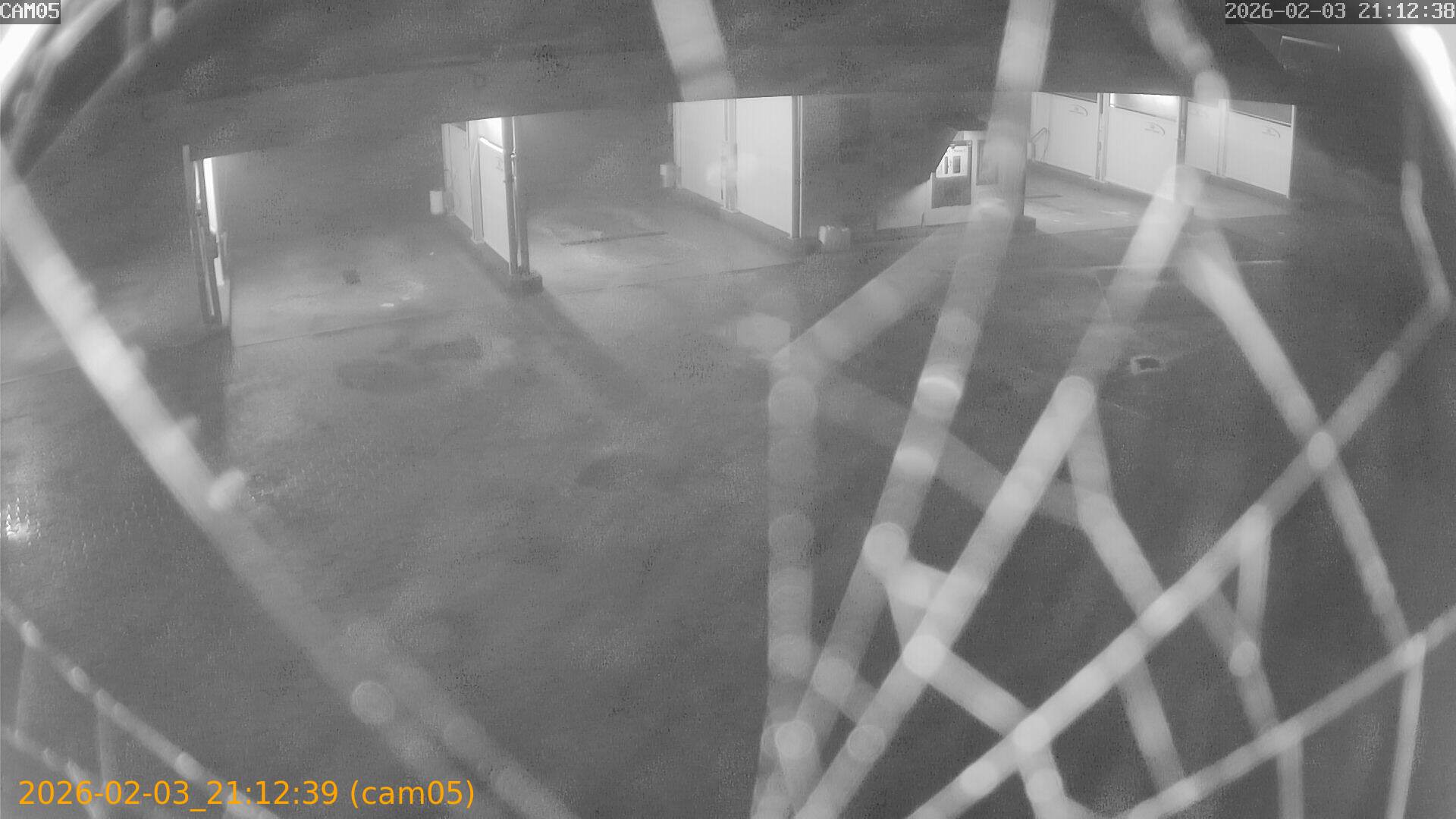 thumbnail_20260203211239