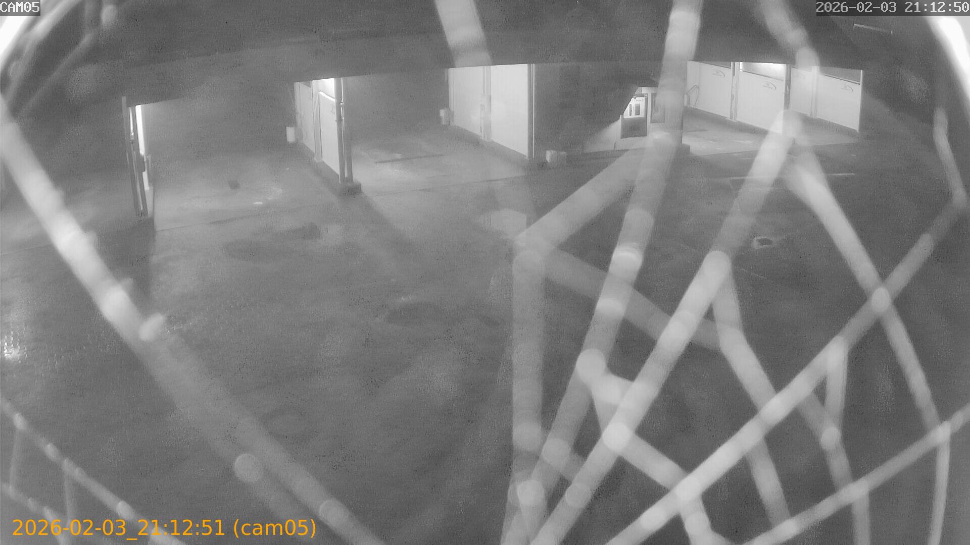 thumbnail_20260203211251