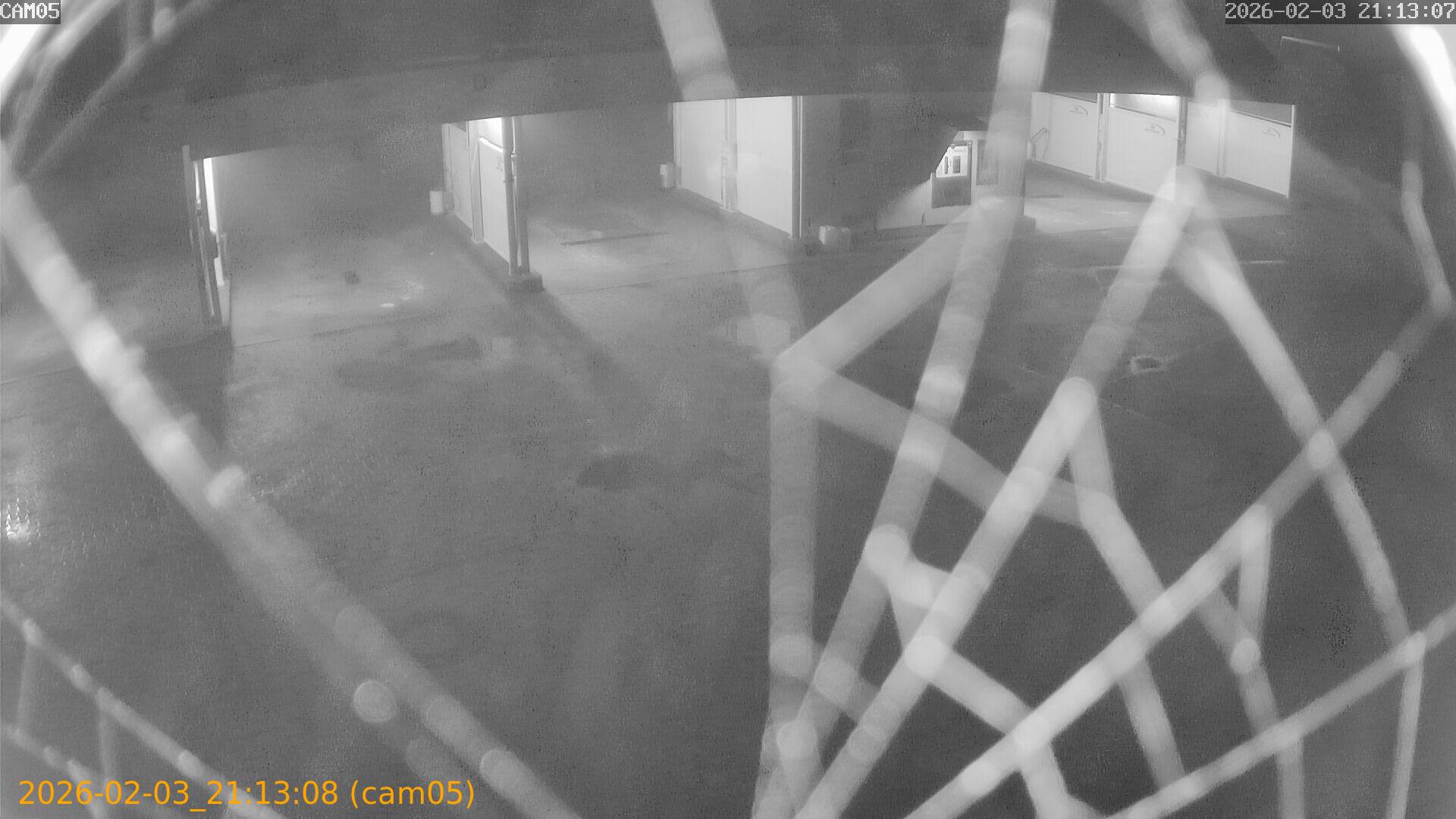 thumbnail_20260203211308