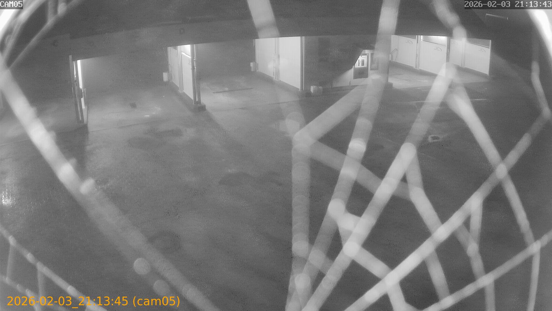 thumbnail_20260203211345