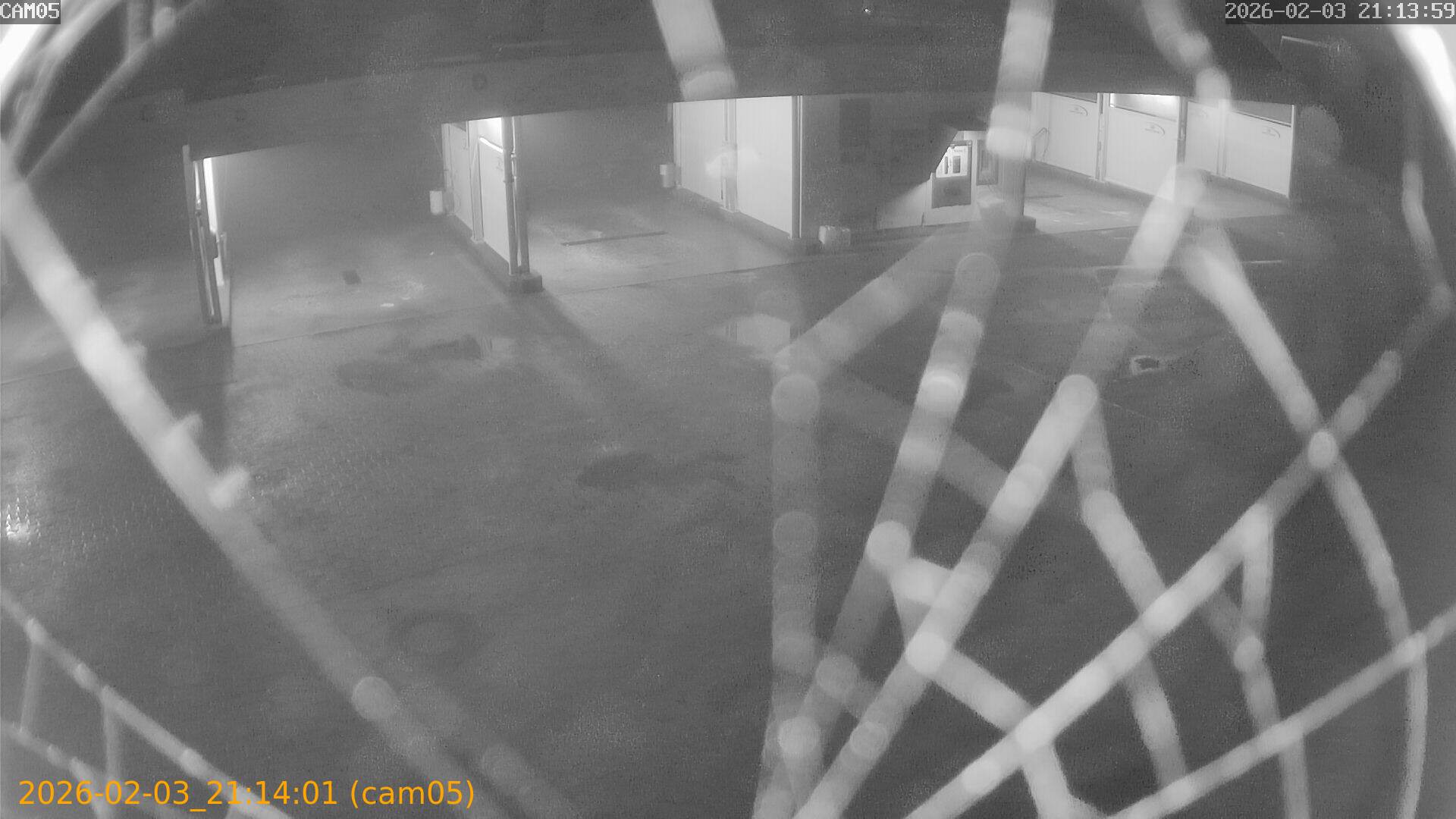 thumbnail_20260203211401