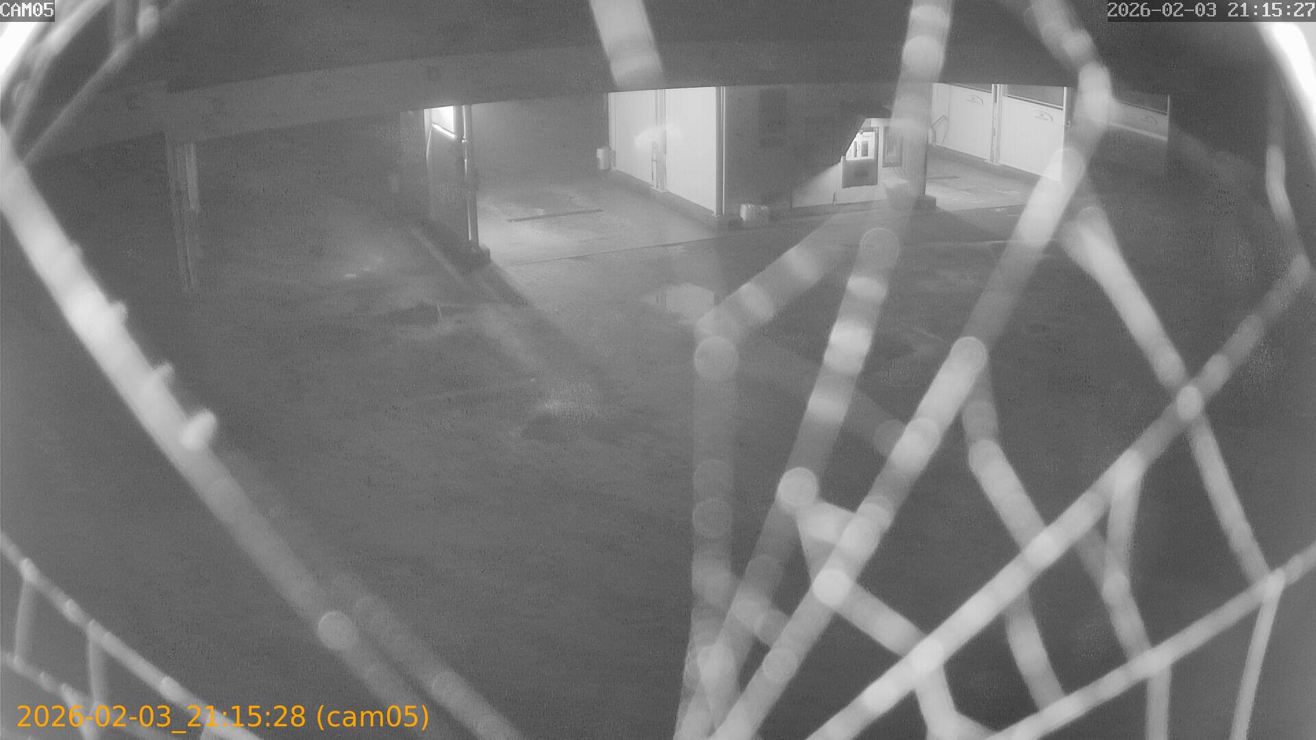 thumbnail_20260203211528