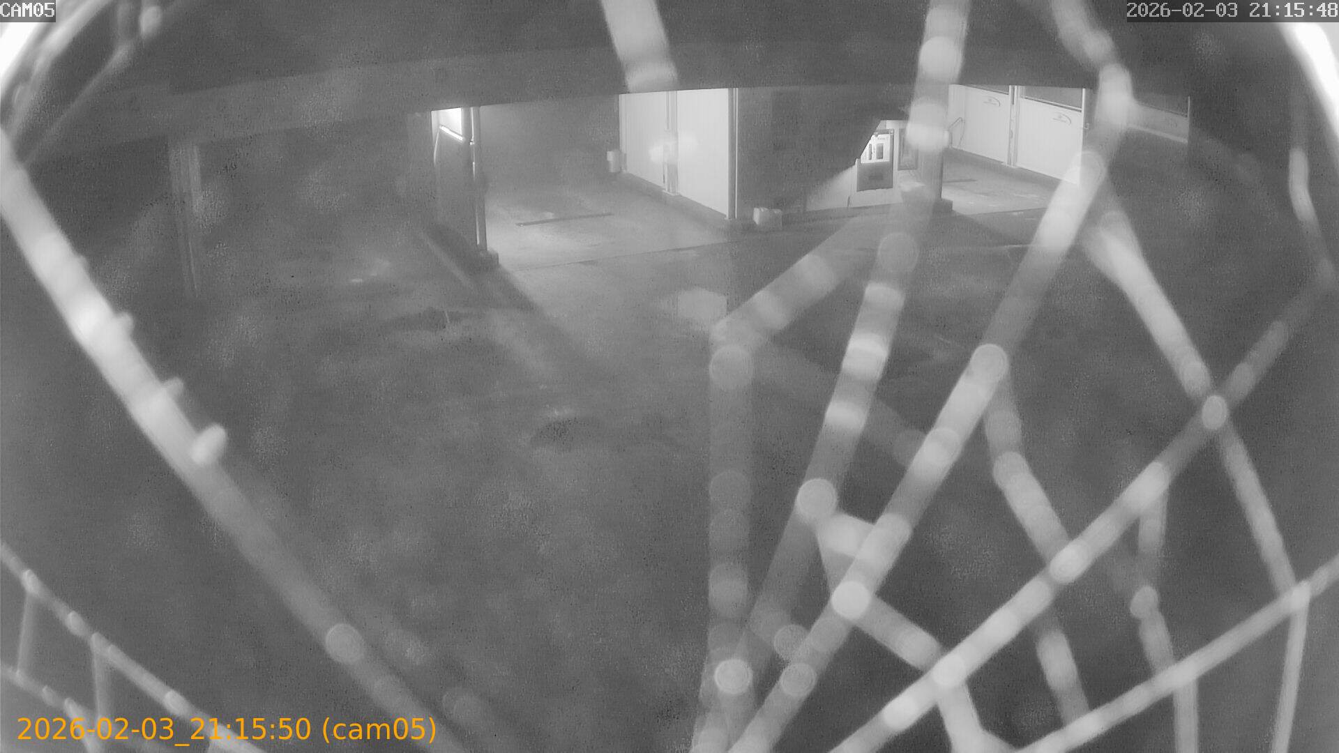 thumbnail_20260203211550