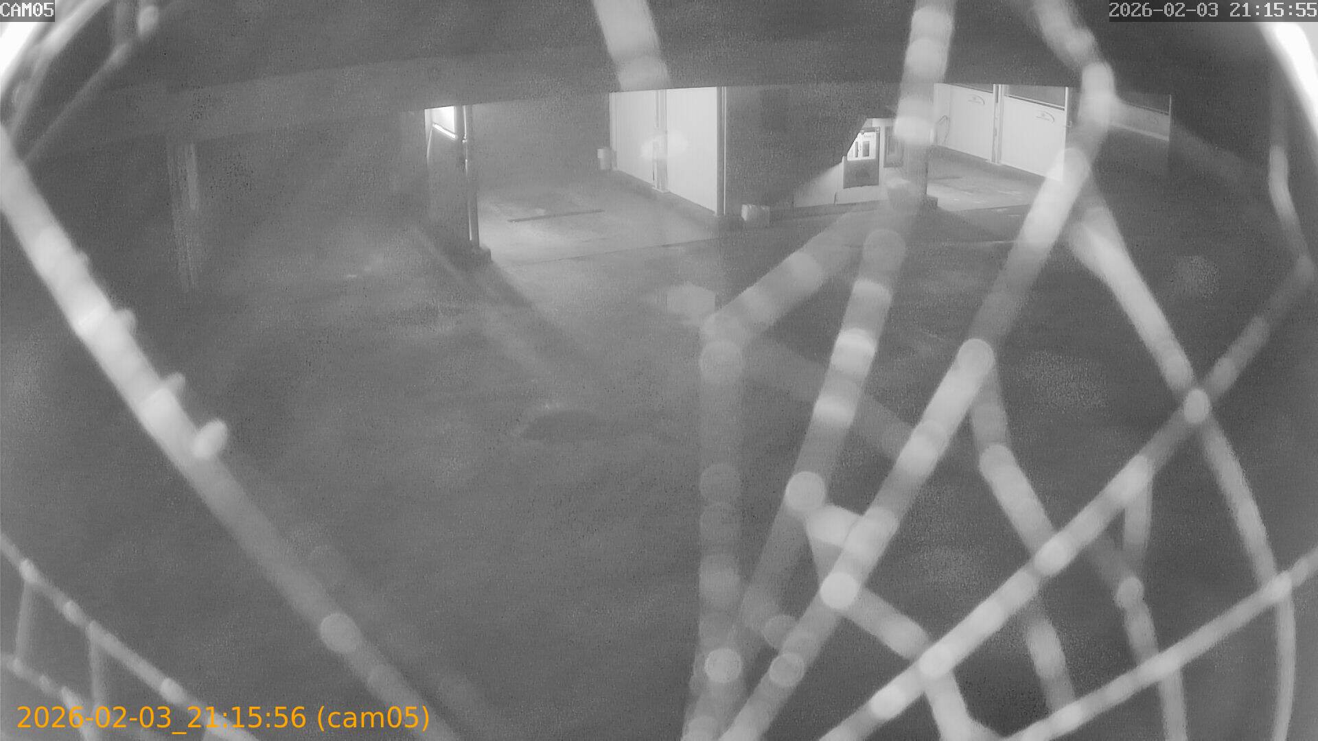 thumbnail_20260203211556