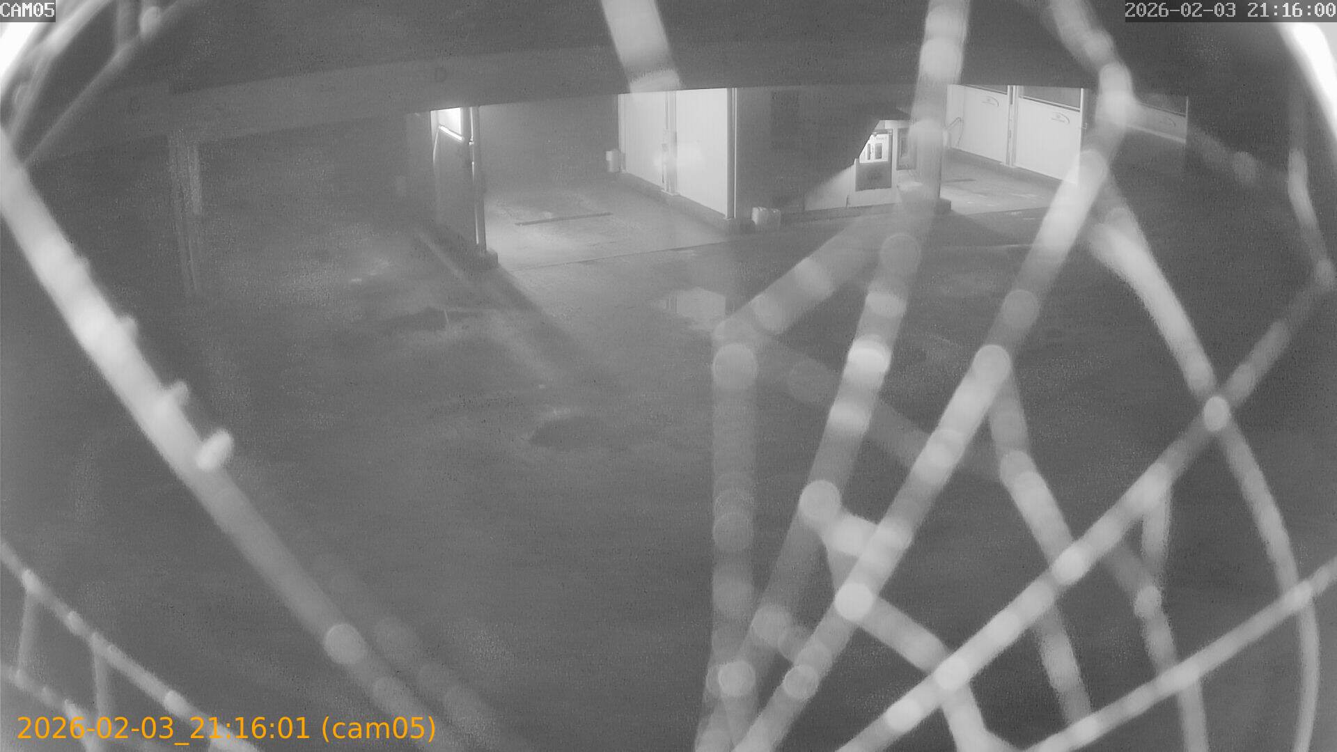 thumbnail_20260203211601