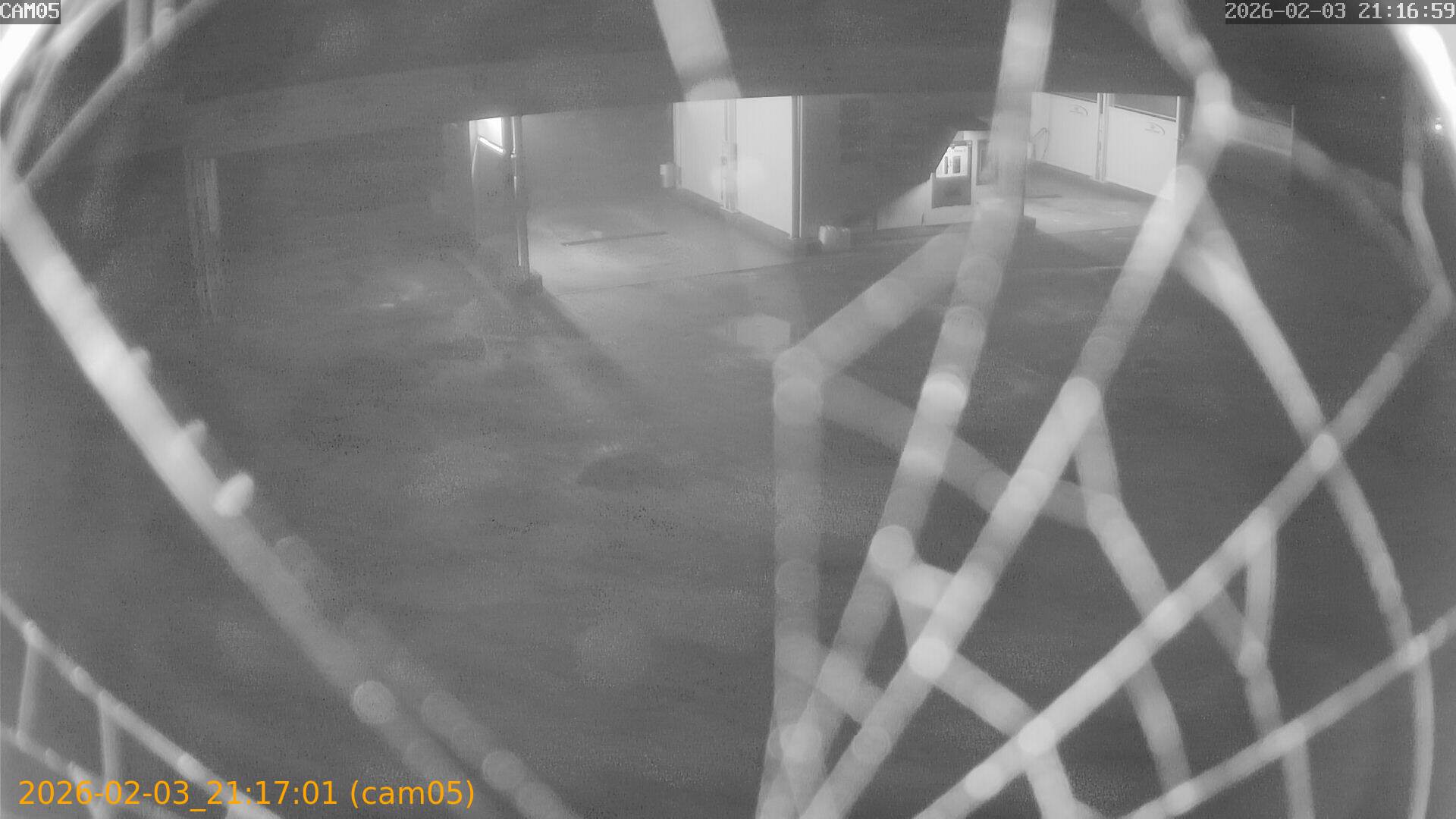 thumbnail_20260203211701