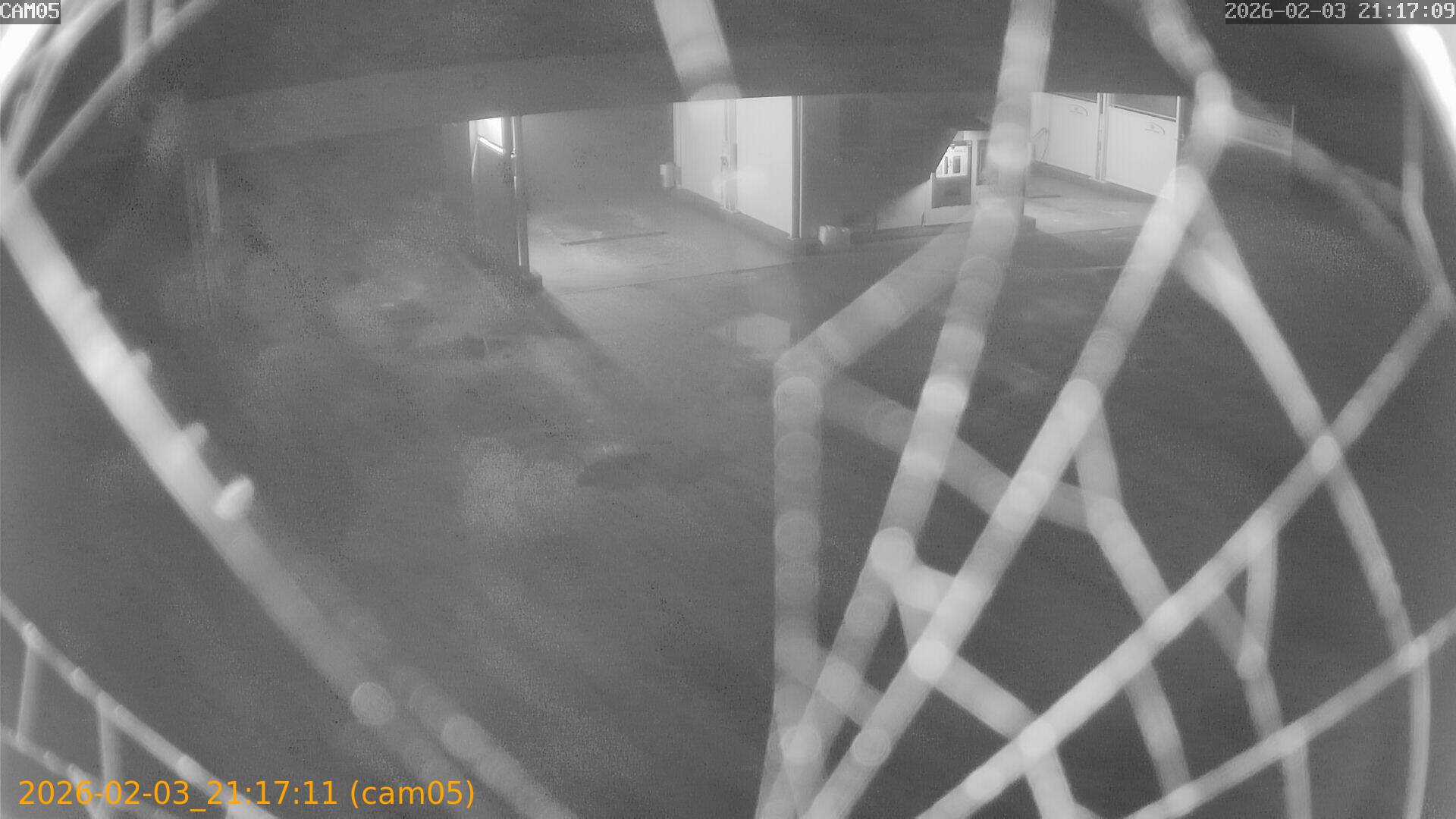 thumbnail_20260203211711