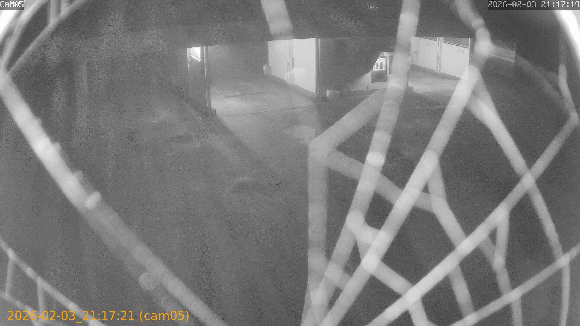 thumbnail_20260203211721