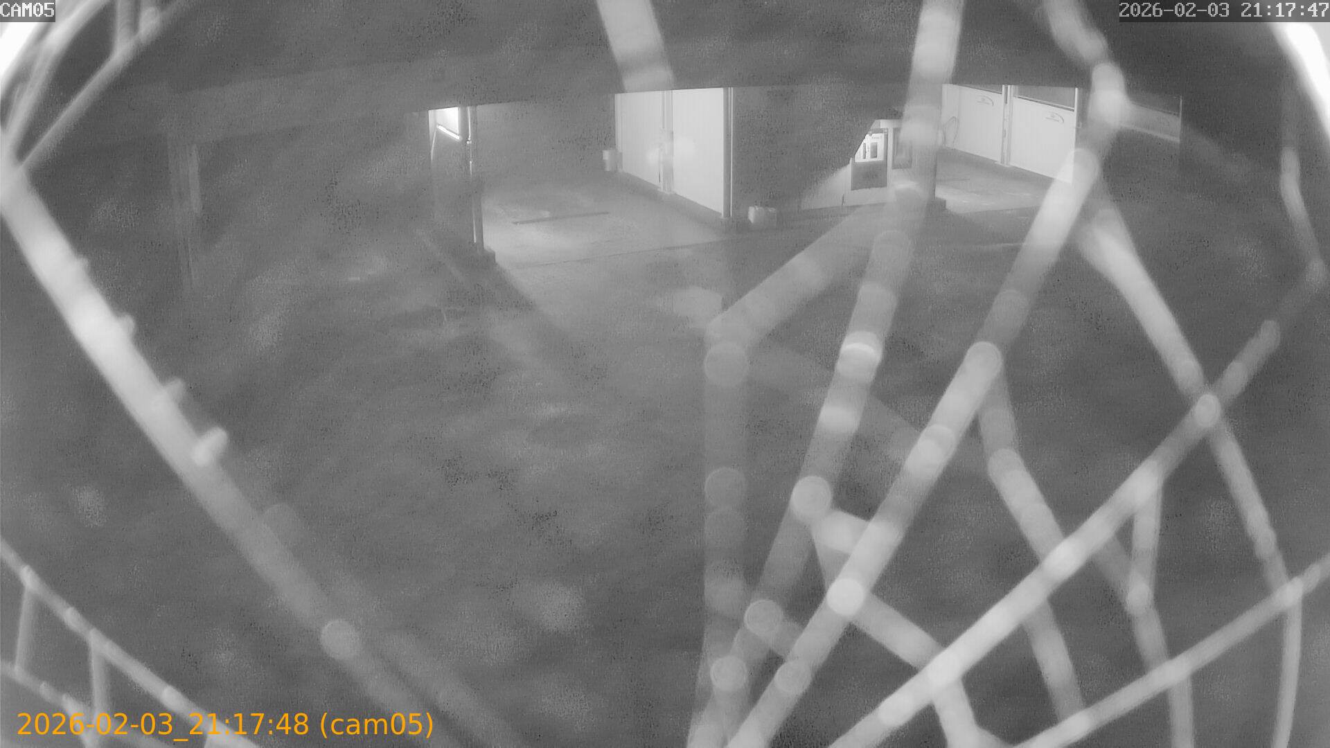 thumbnail_20260203211748