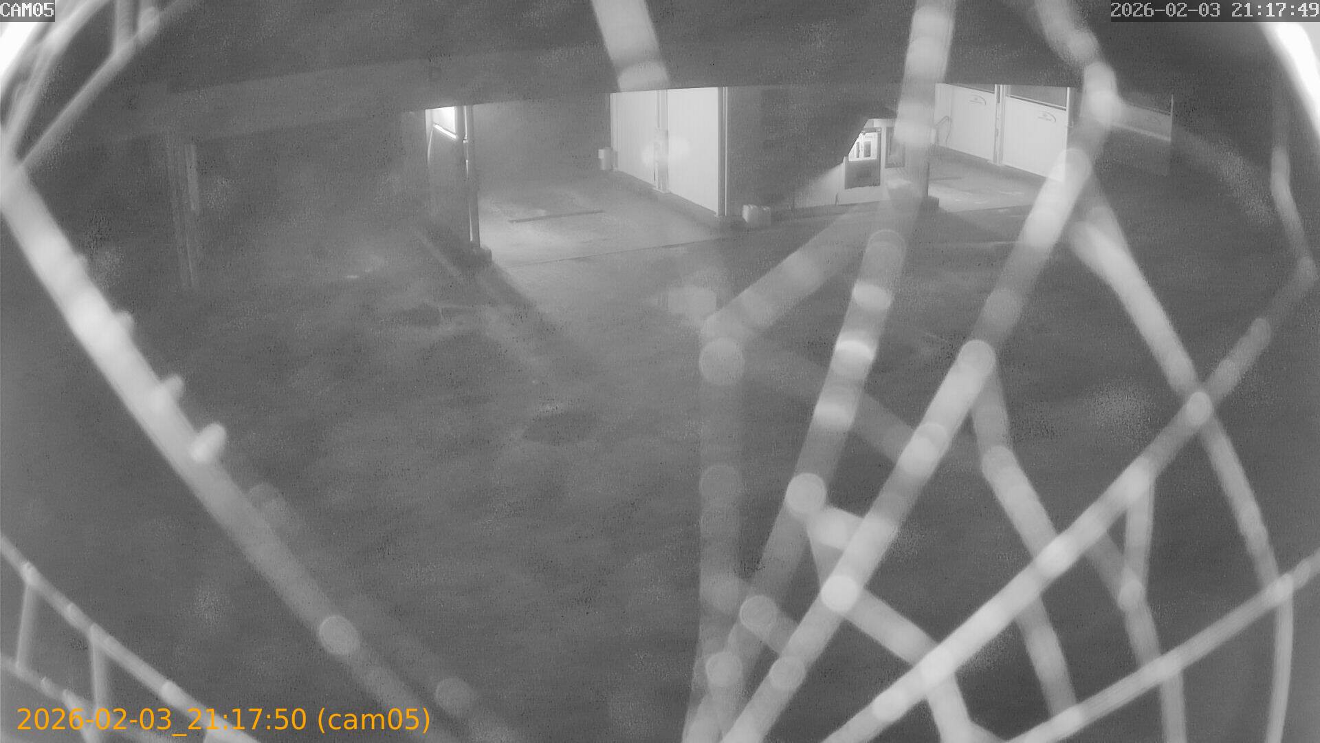 thumbnail_20260203211750