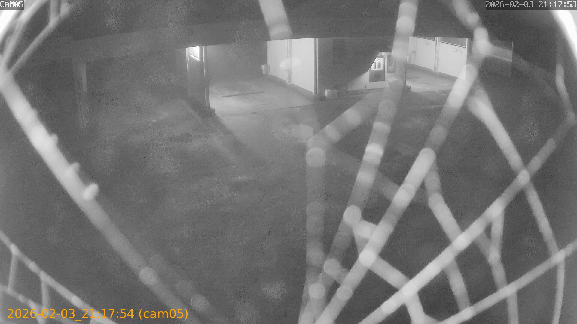 thumbnail_20260203211754