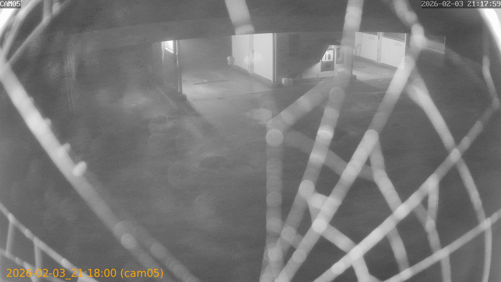 thumbnail_20260203211800