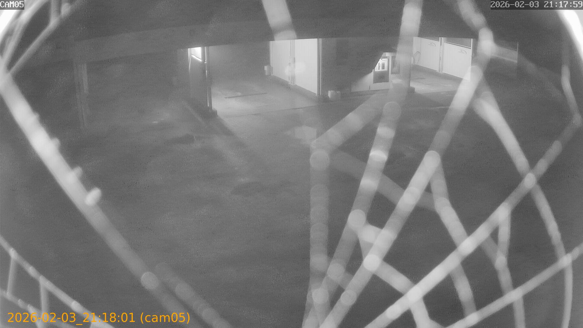 thumbnail_20260203211801