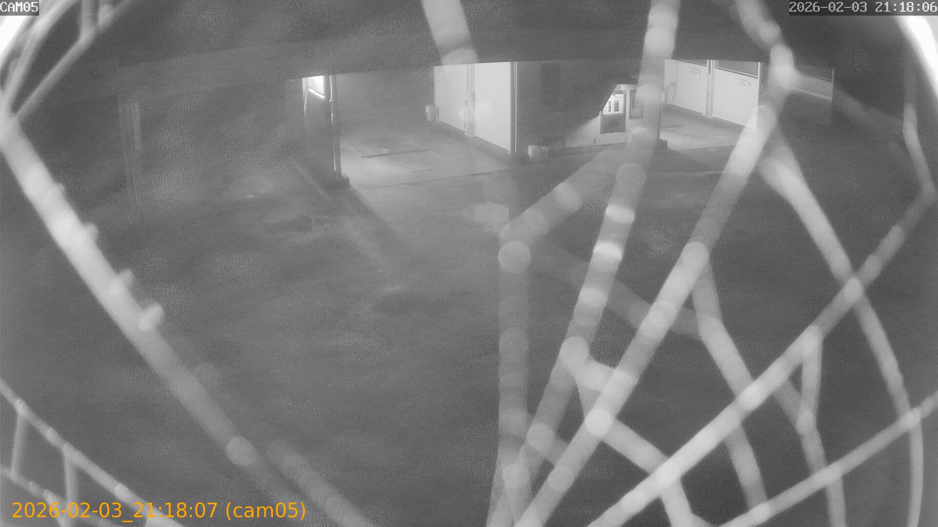 thumbnail_20260203211807