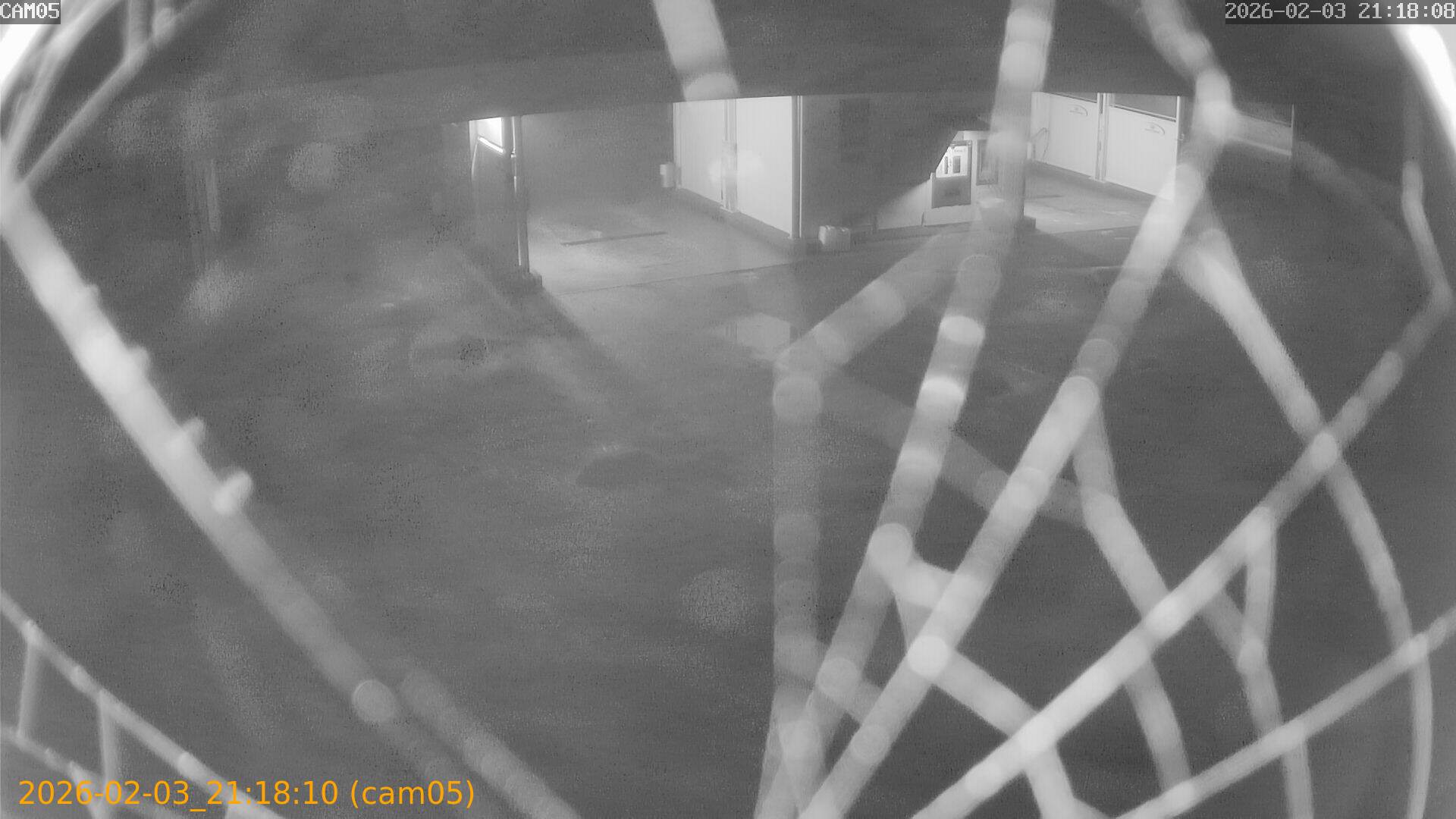 thumbnail_20260203211810