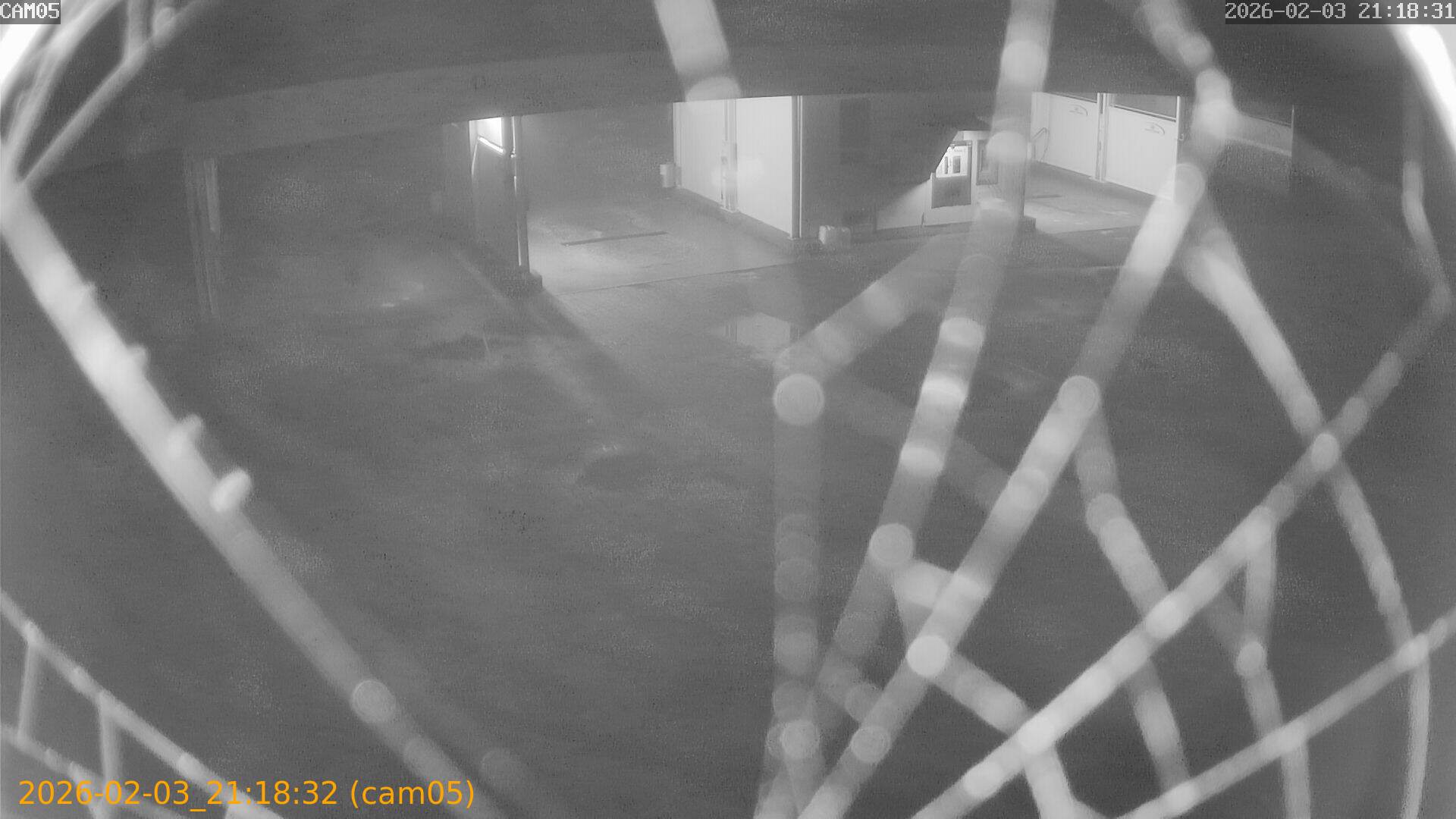 thumbnail_20260203211832