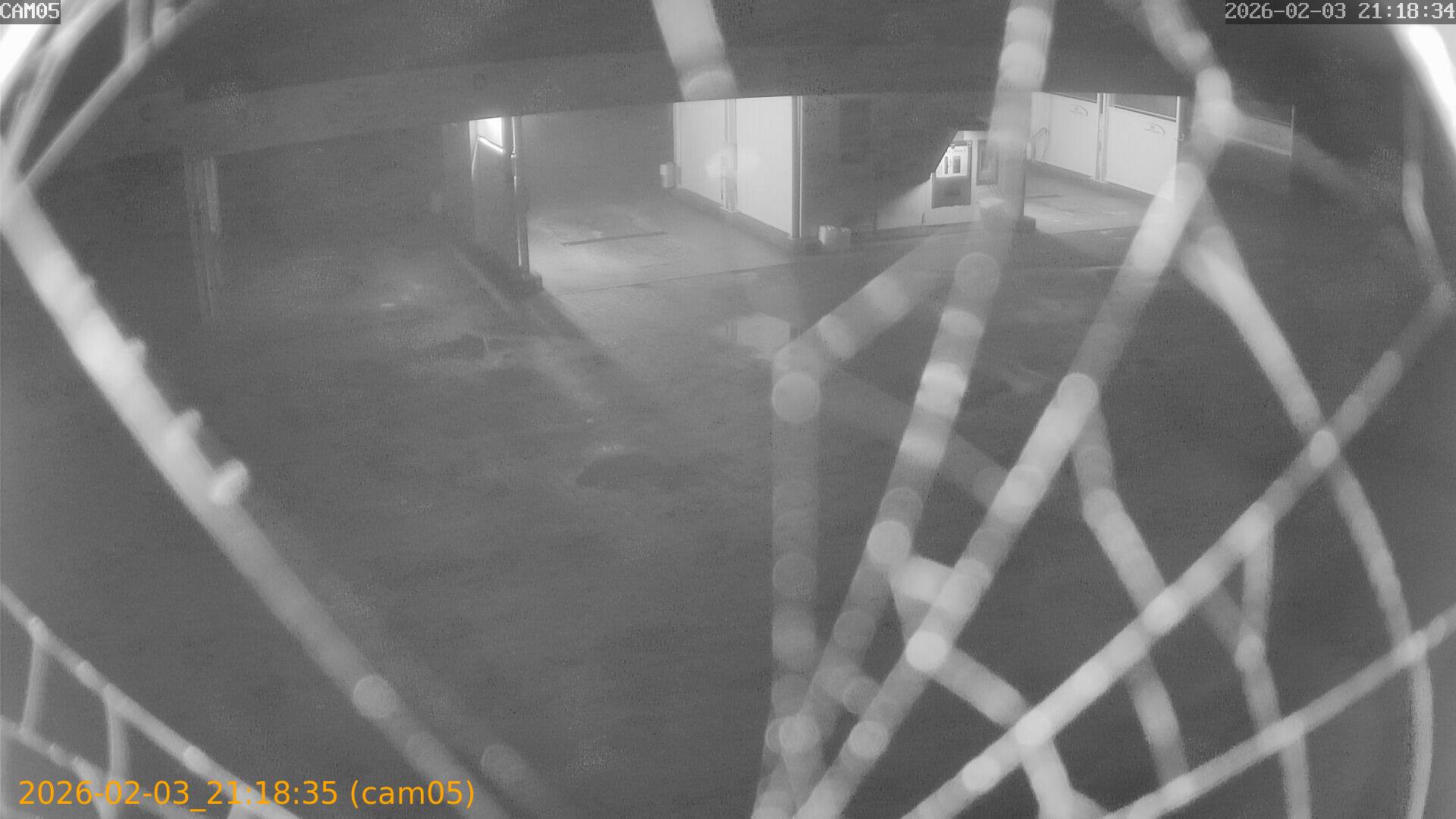 thumbnail_20260203211835