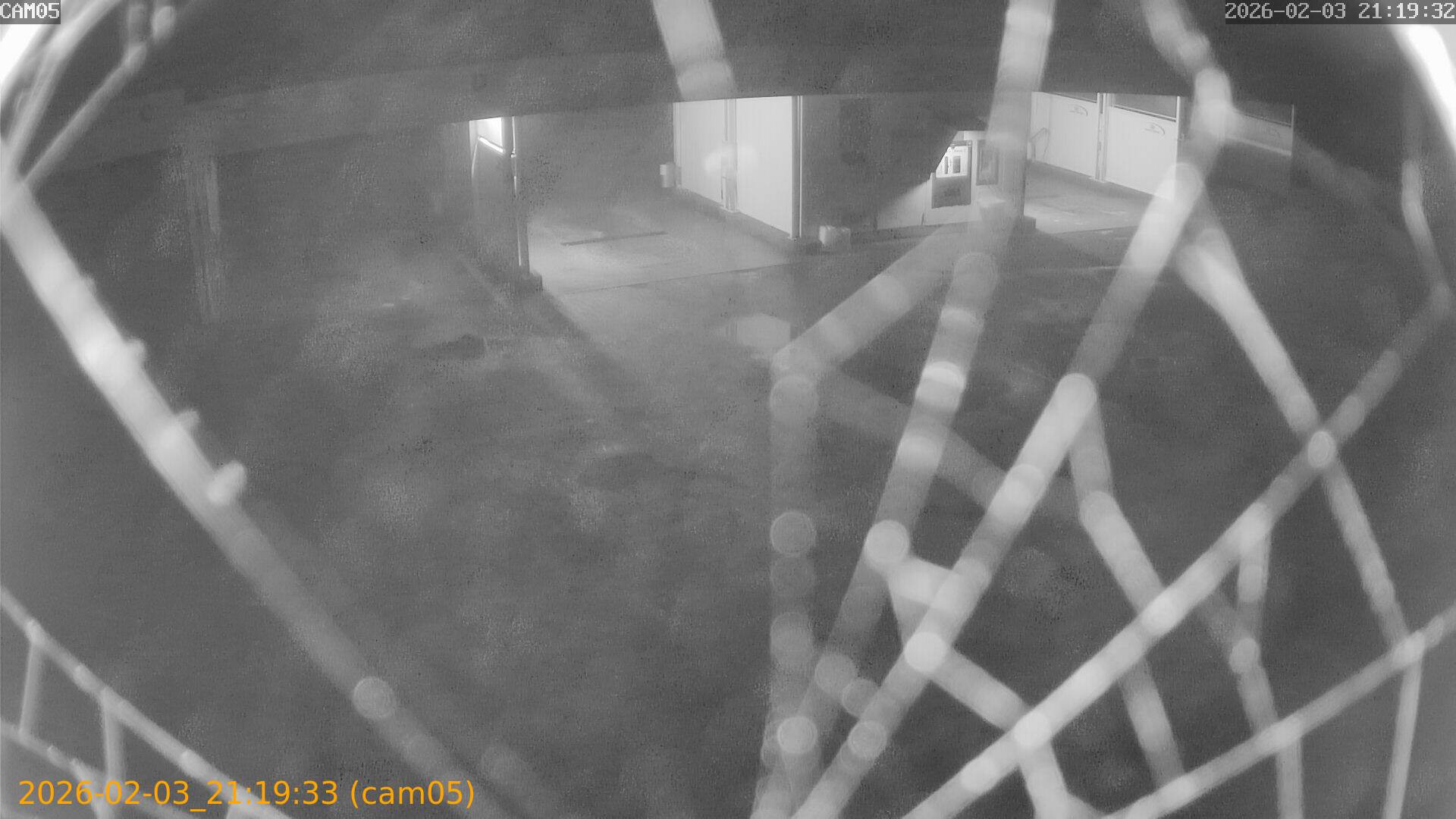 thumbnail_20260203211933