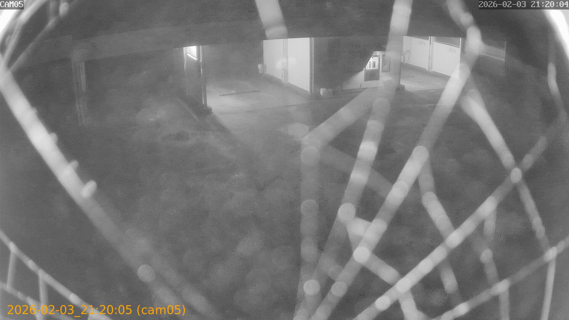 thumbnail_20260203212005