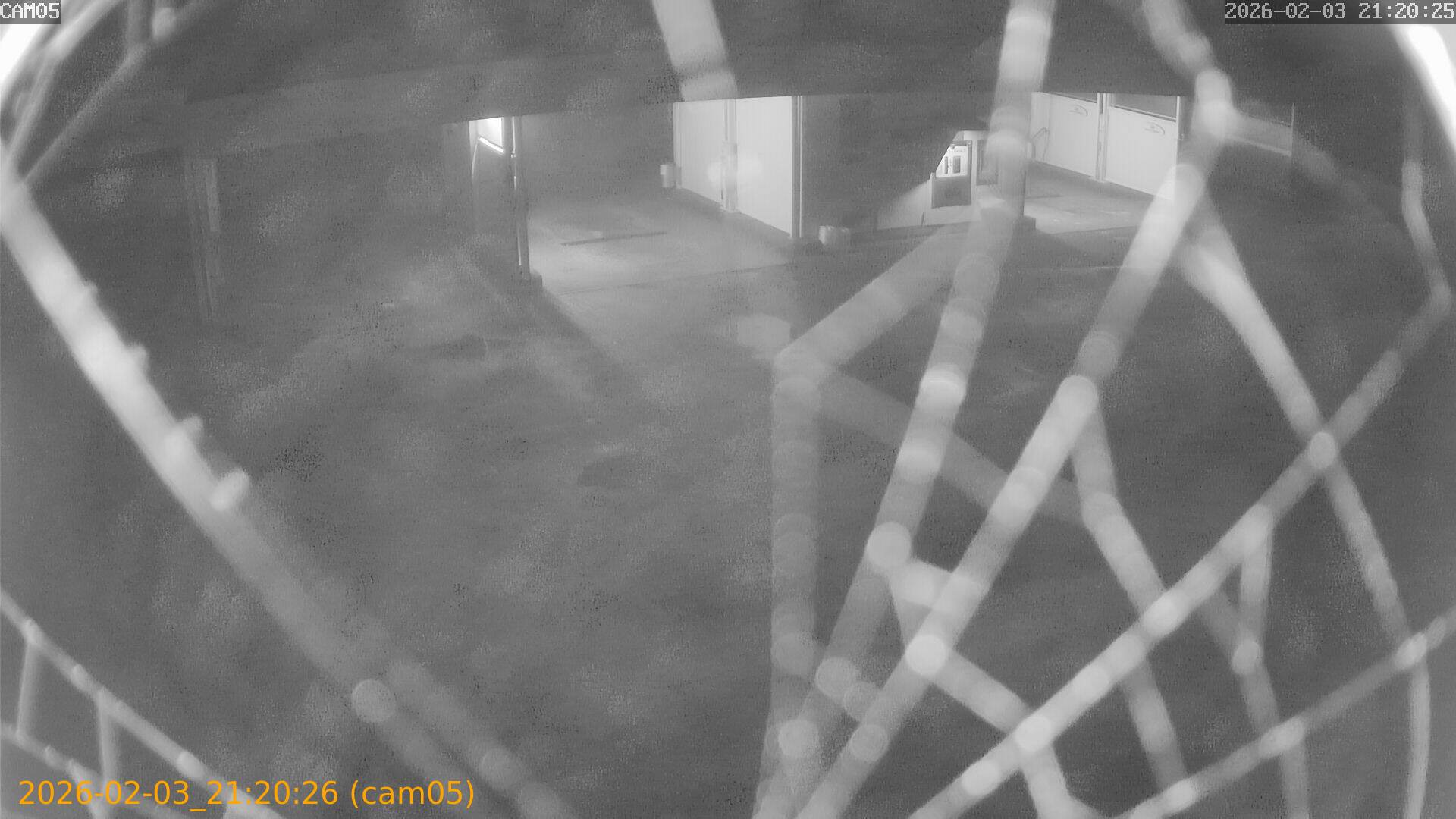 thumbnail_20260203212026