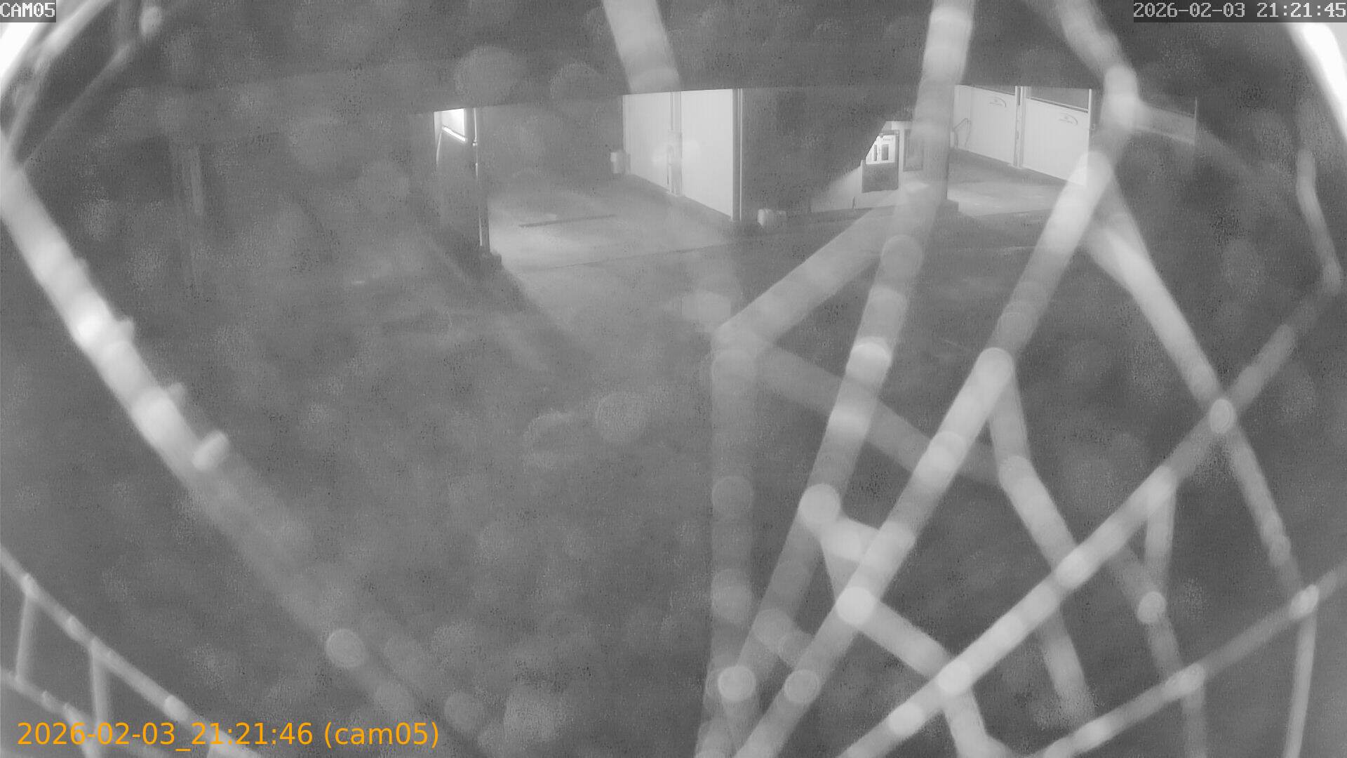 thumbnail_20260203212146