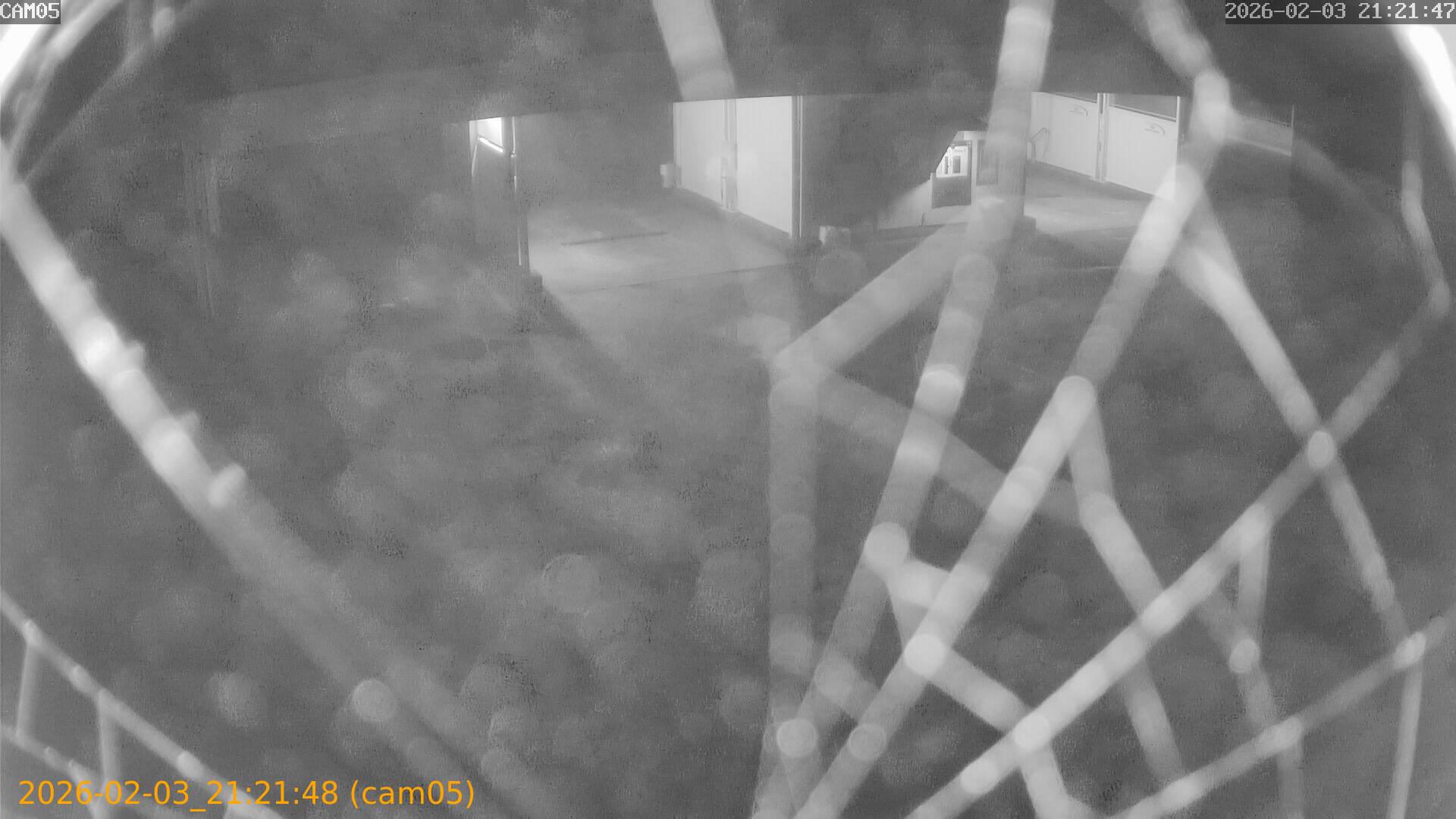 thumbnail_20260203212148