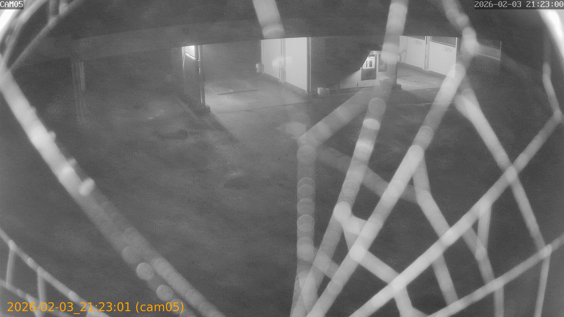 thumbnail_20260203212301