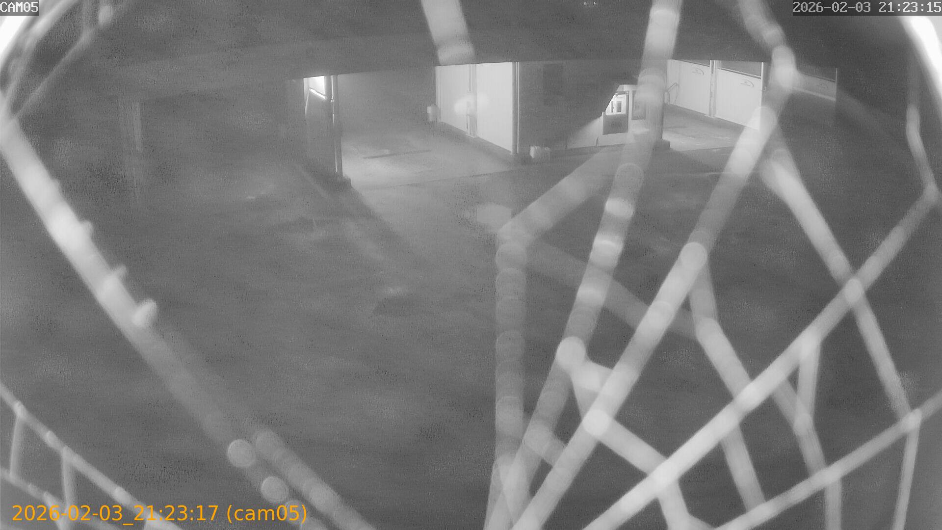 thumbnail_20260203212317