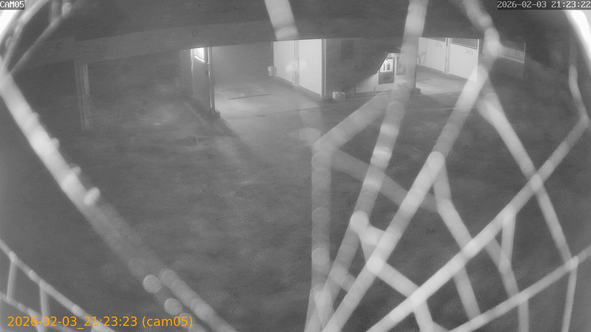 thumbnail_20260203212323