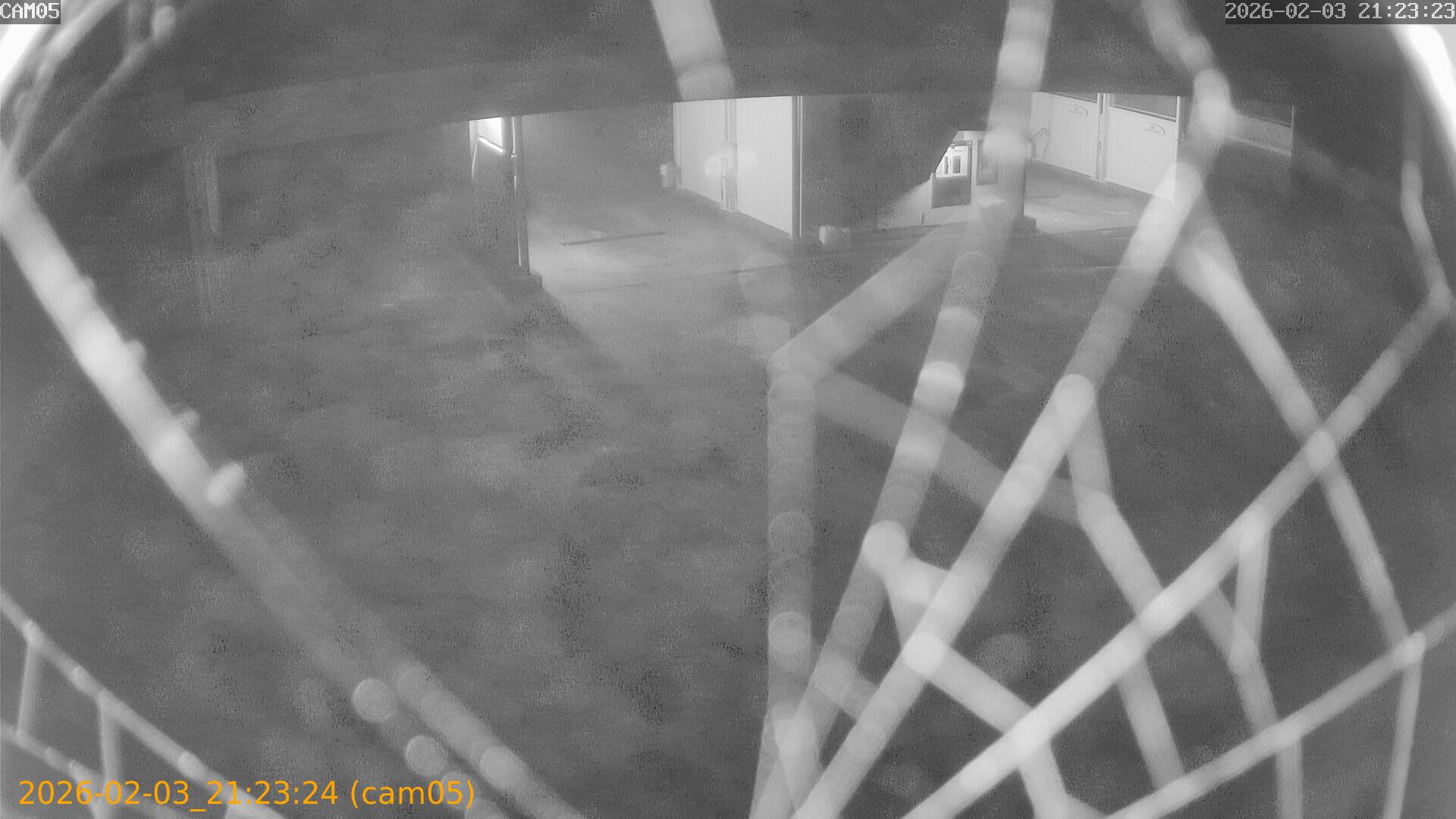 thumbnail_20260203212324