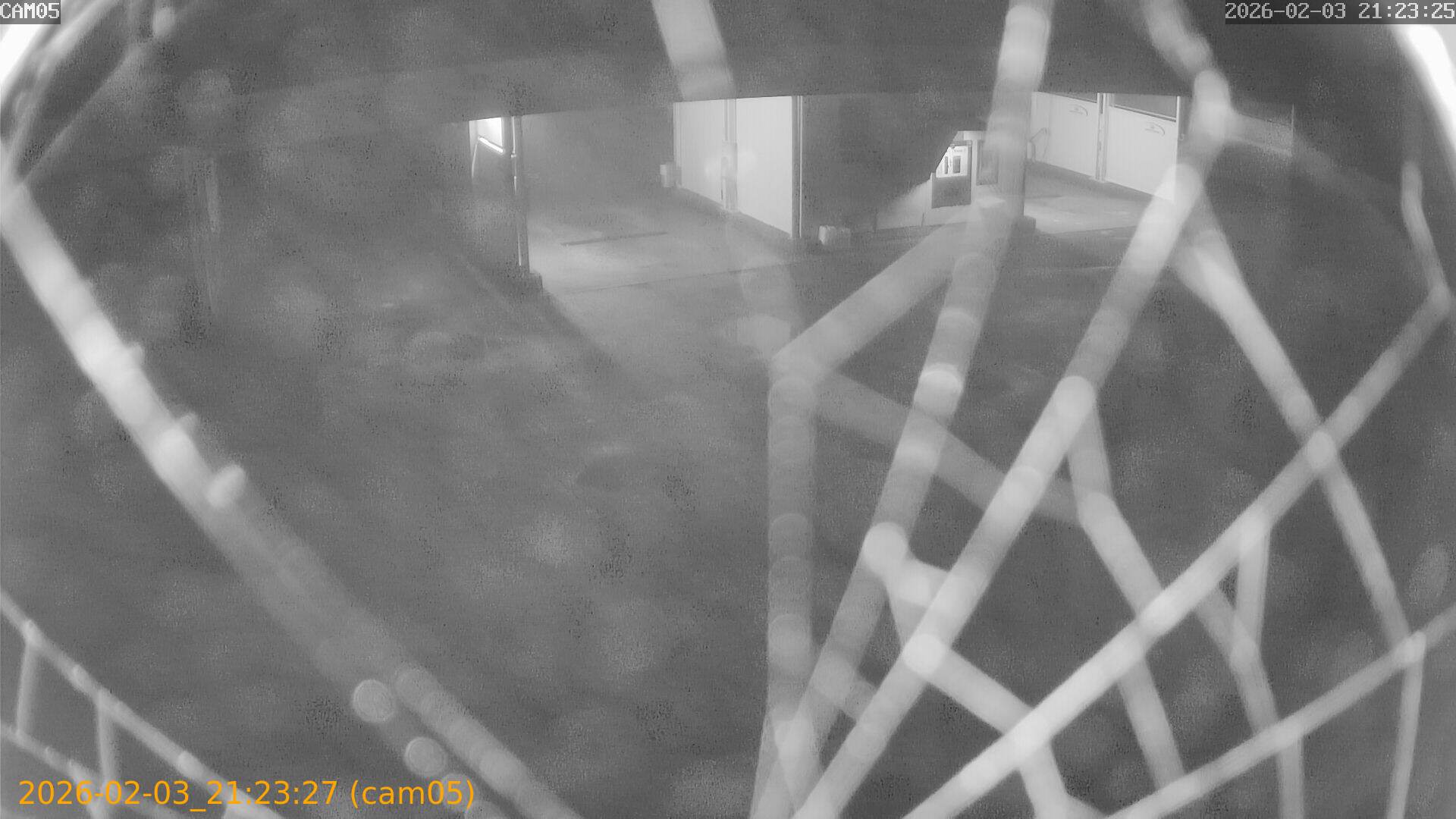 thumbnail_20260203212327