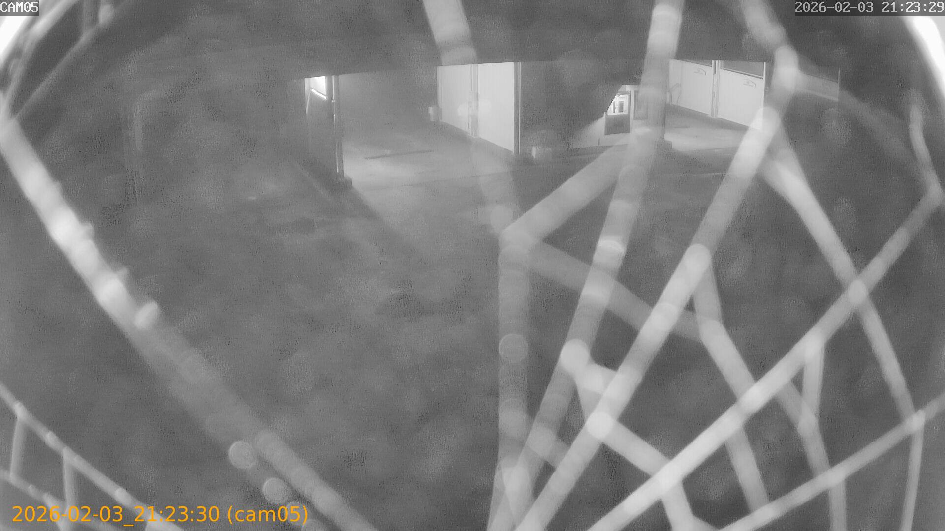 thumbnail_20260203212330