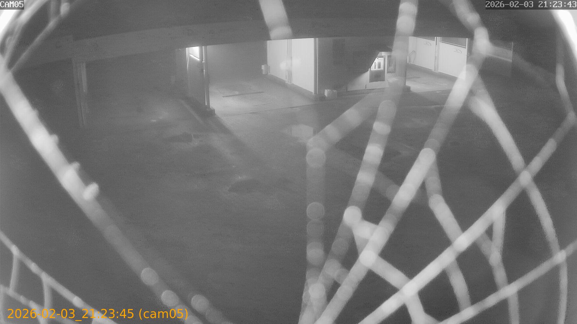 thumbnail_20260203212345