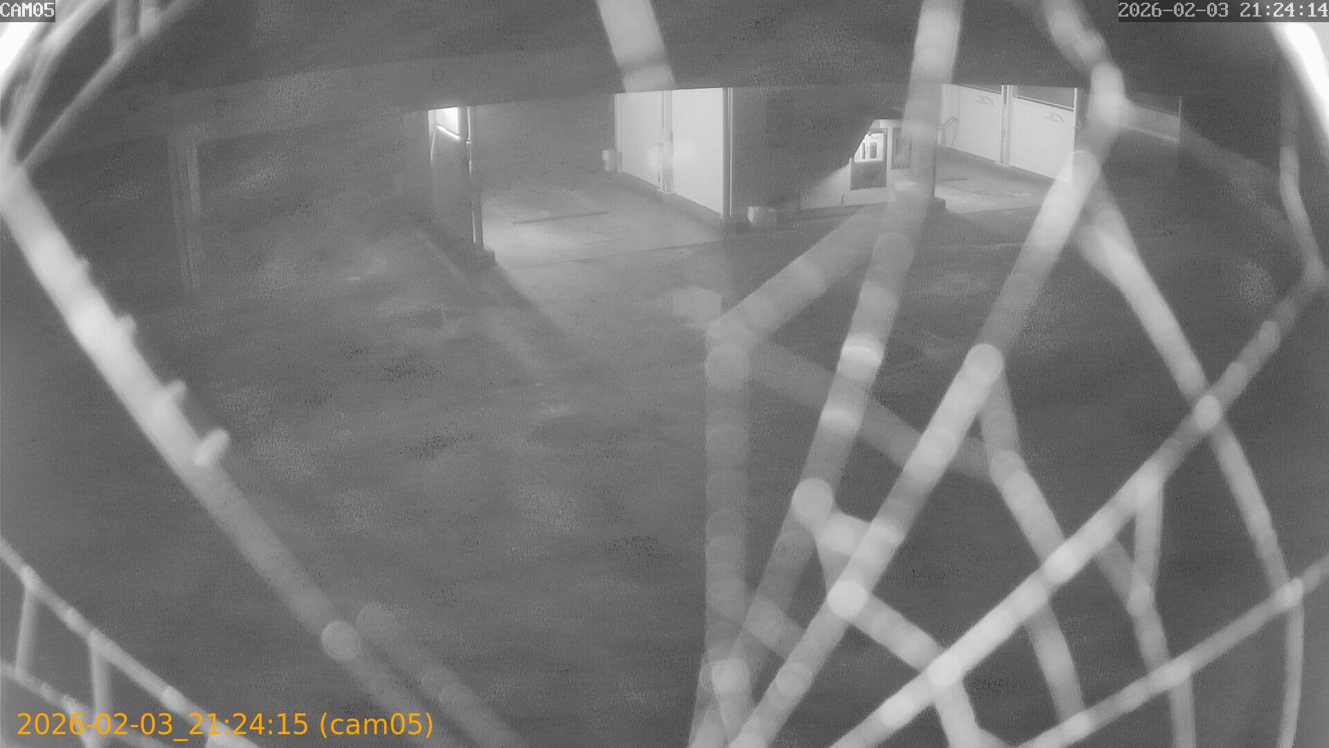 thumbnail_20260203212415