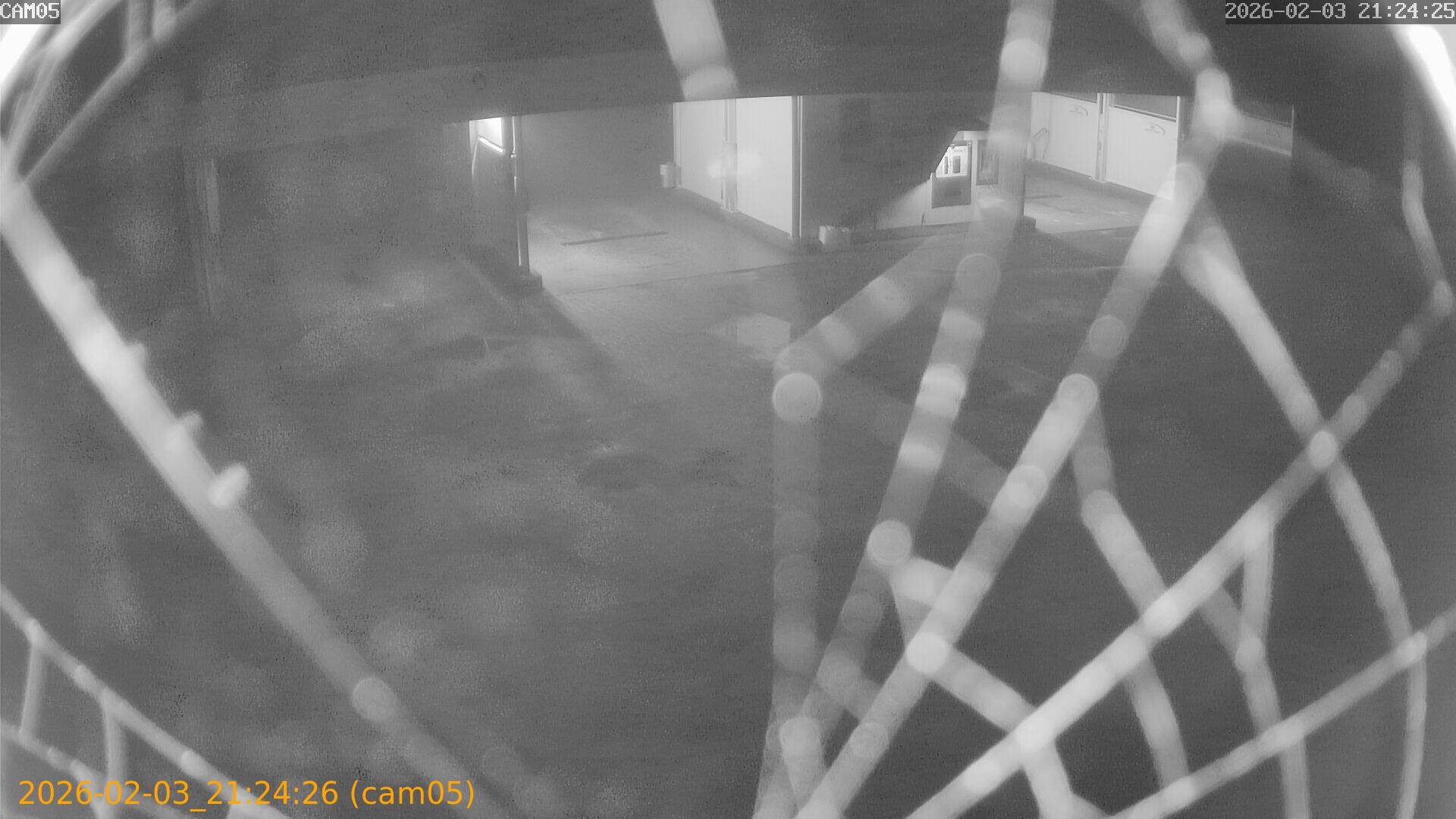 thumbnail_20260203212426