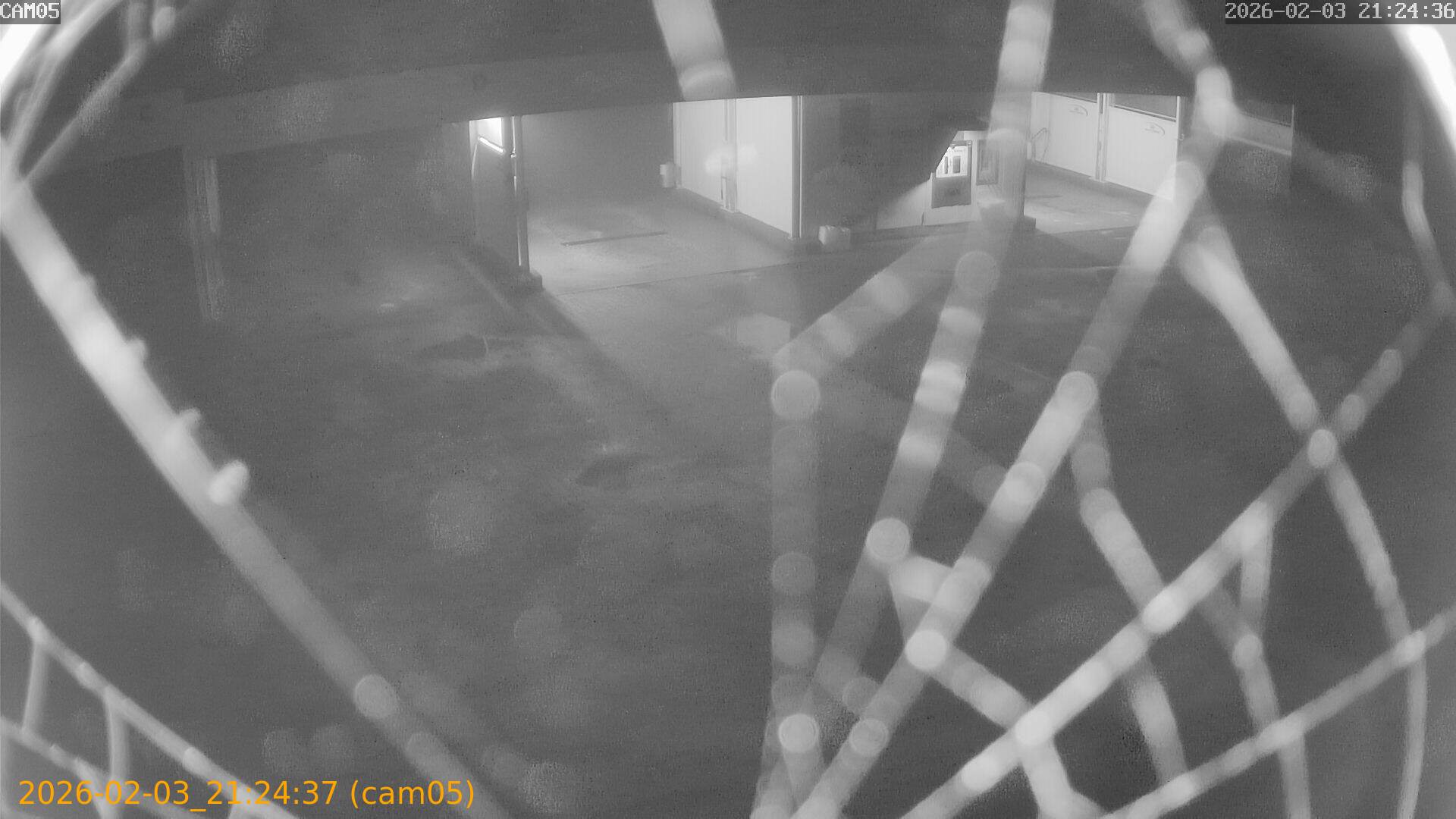 thumbnail_20260203212437