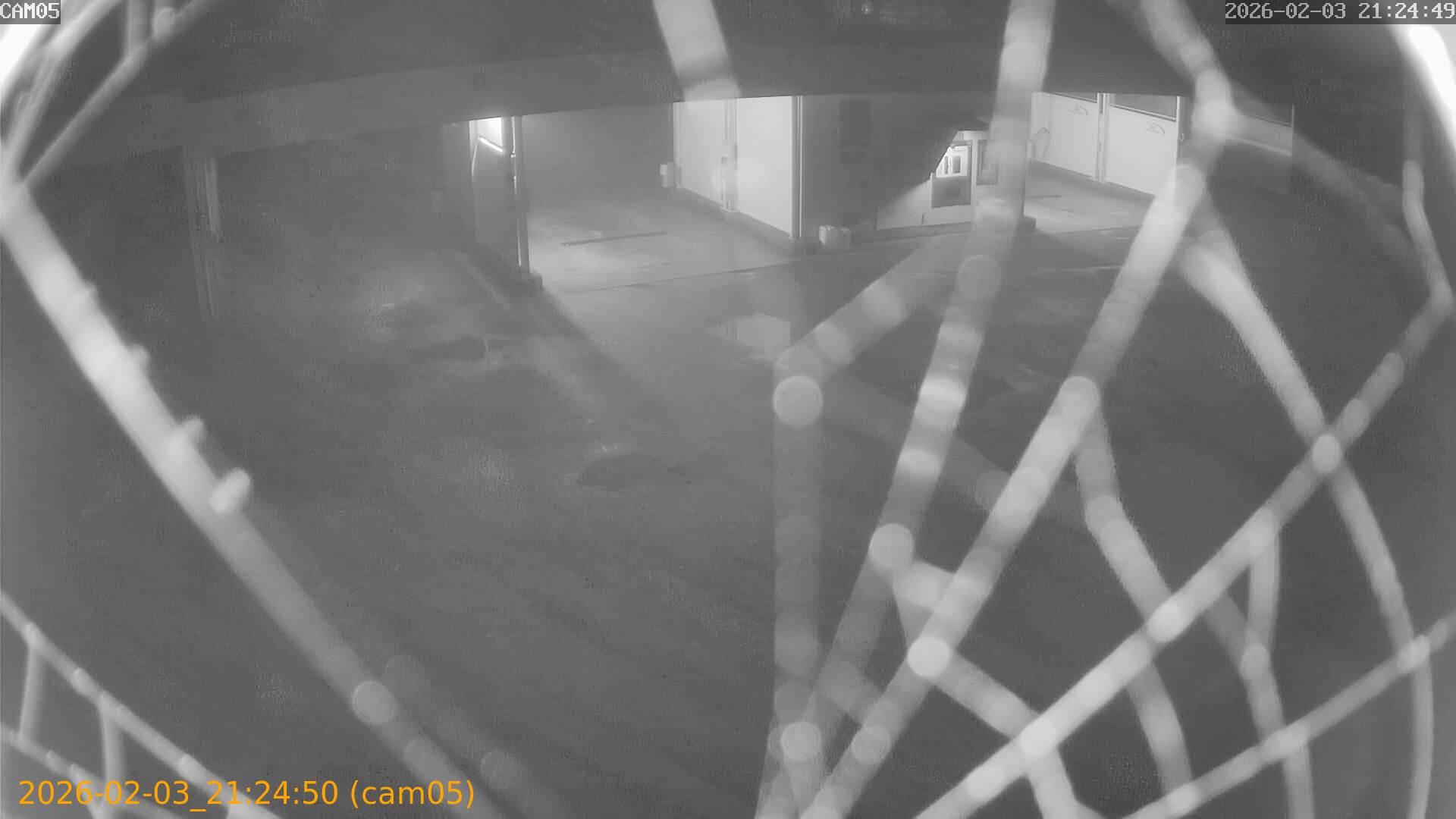 thumbnail_20260203212450