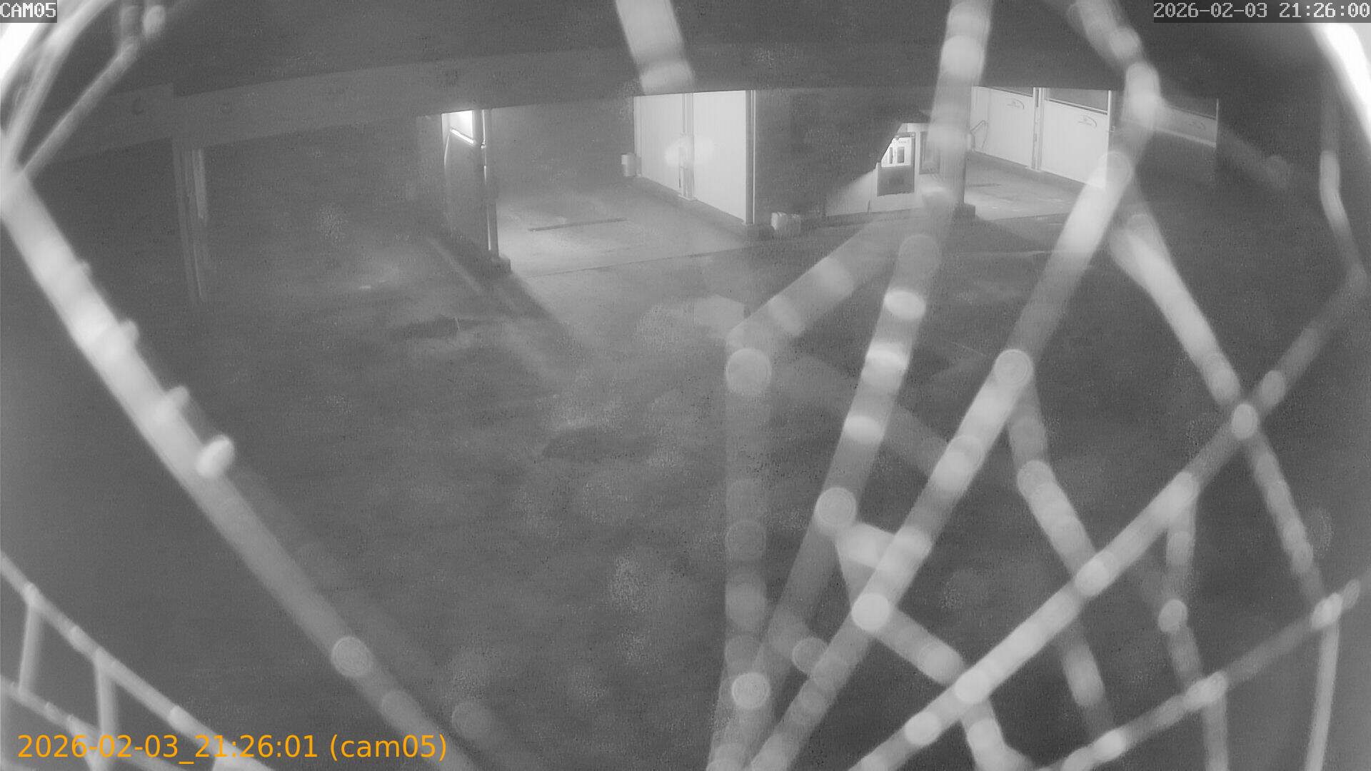 thumbnail_20260203212601