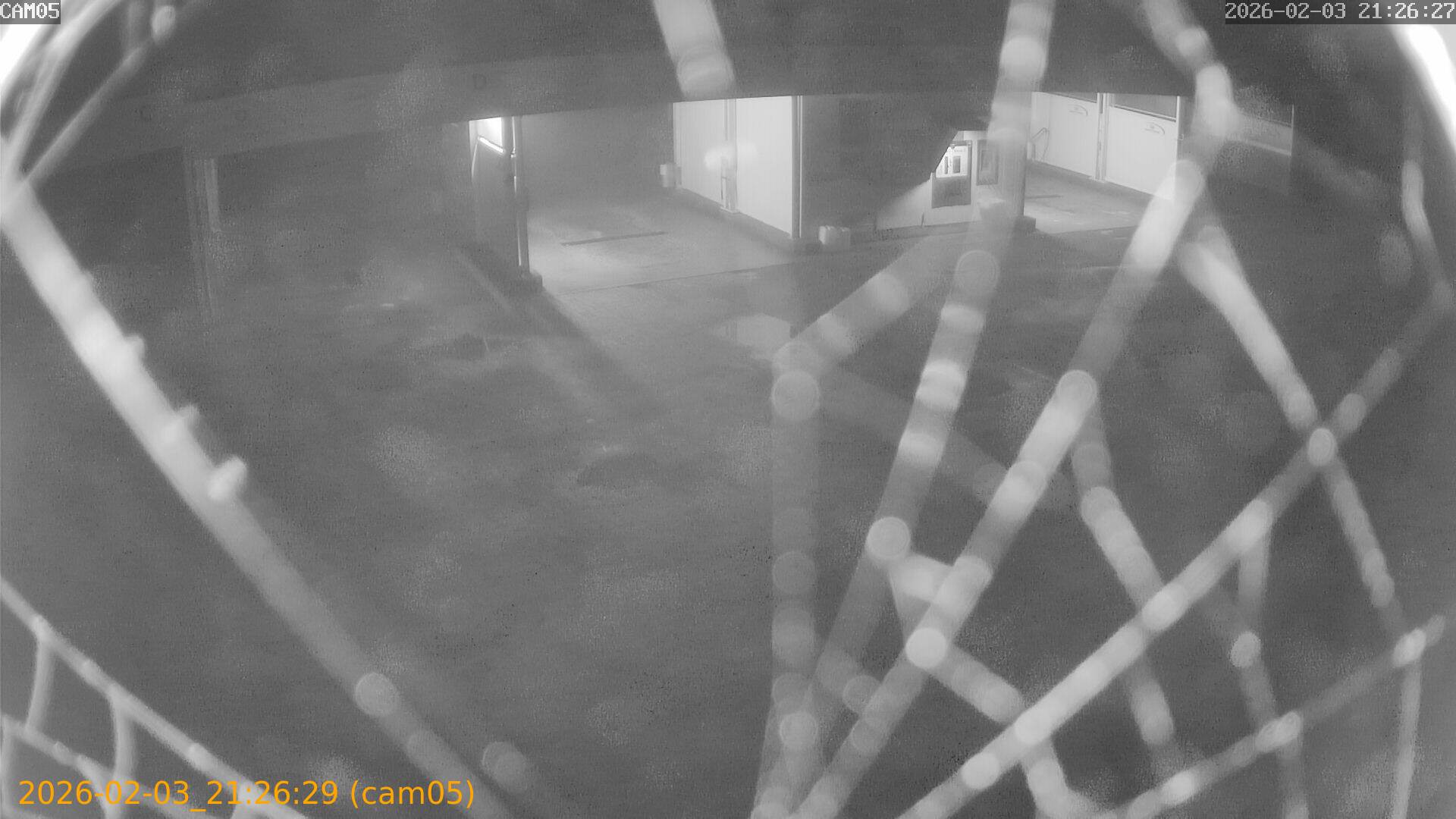 thumbnail_20260203212629