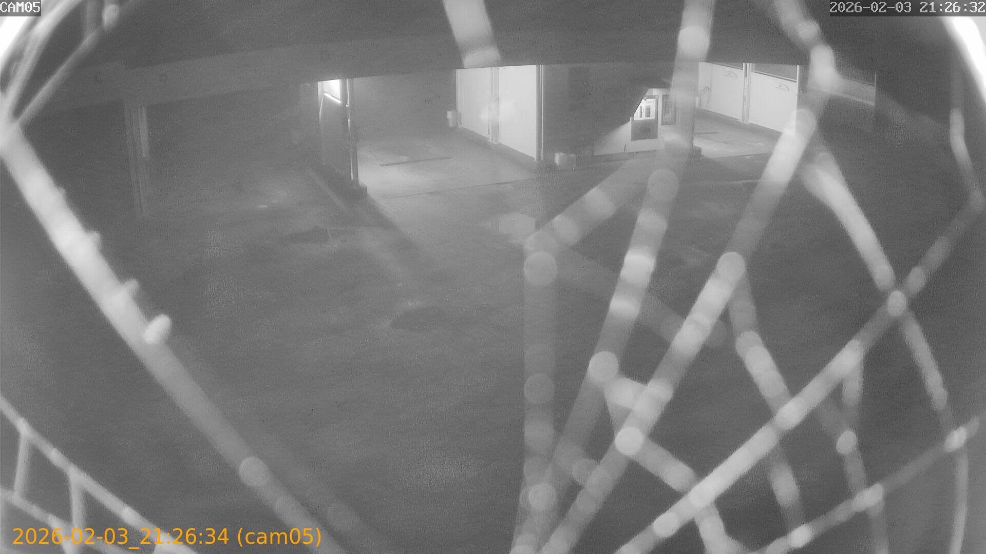 thumbnail_20260203212634