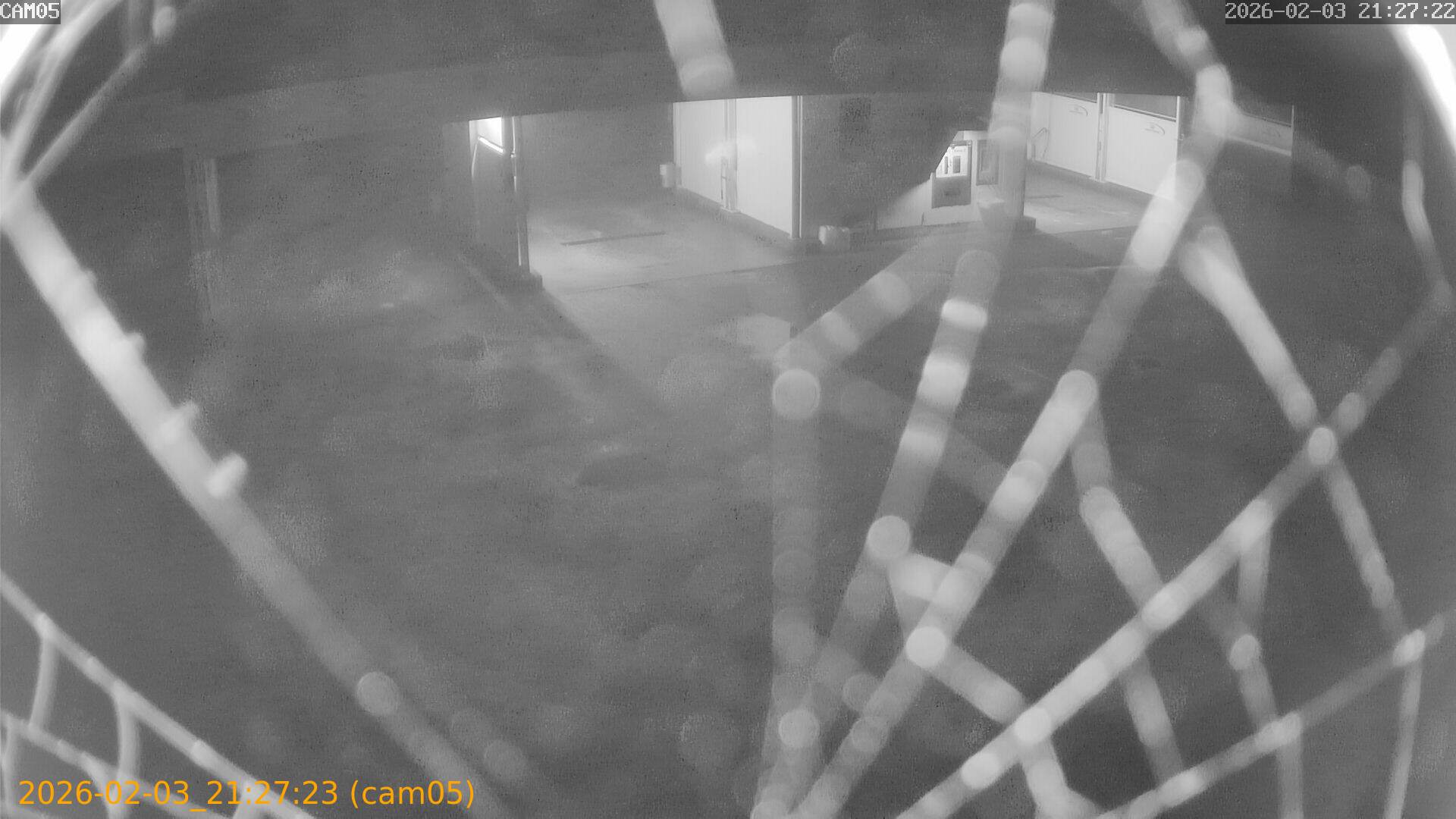 thumbnail_20260203212723