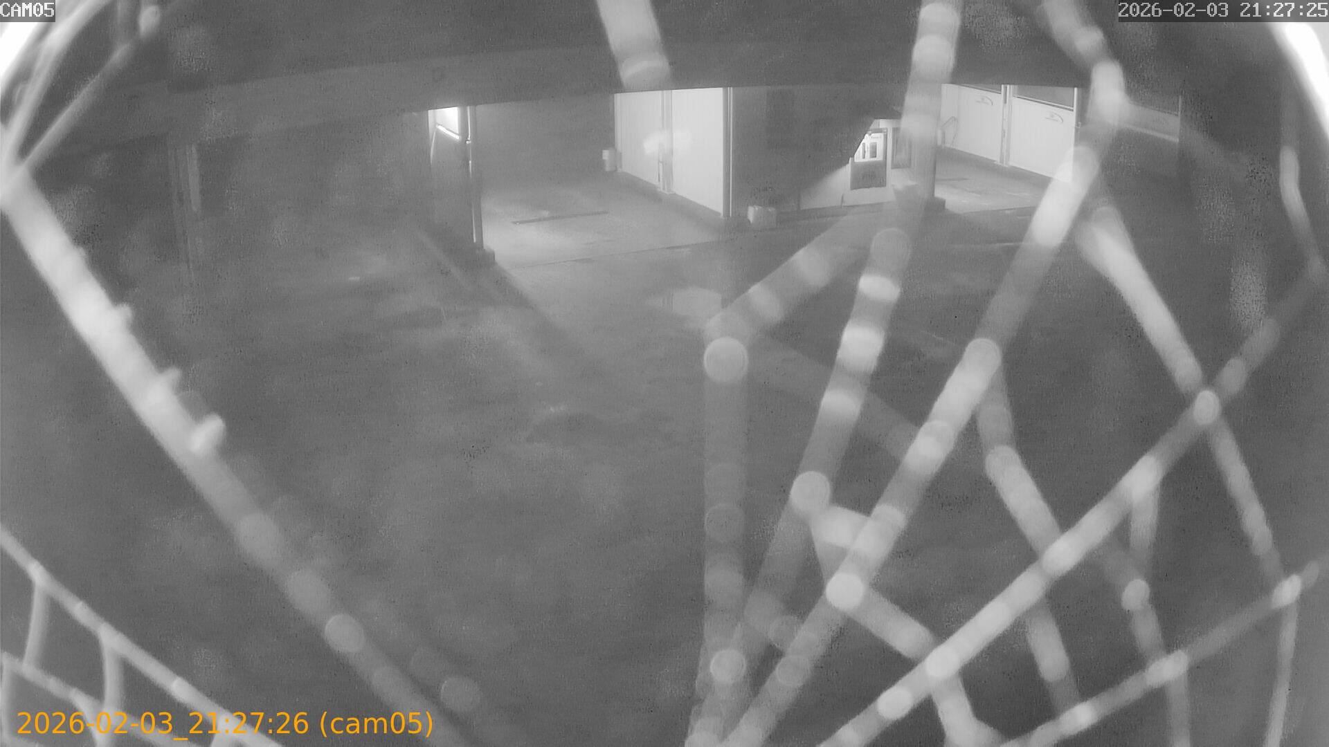 thumbnail_20260203212726