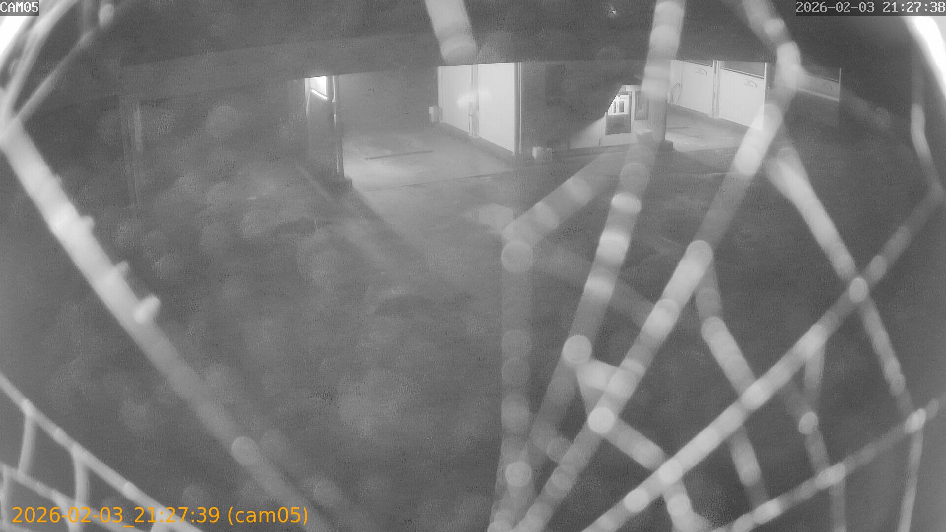 thumbnail_20260203212739