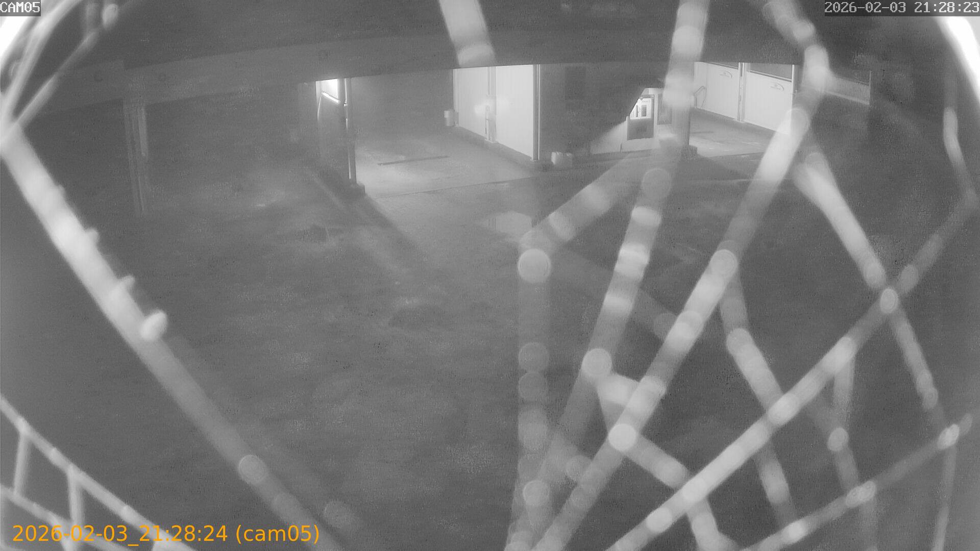 thumbnail_20260203212824