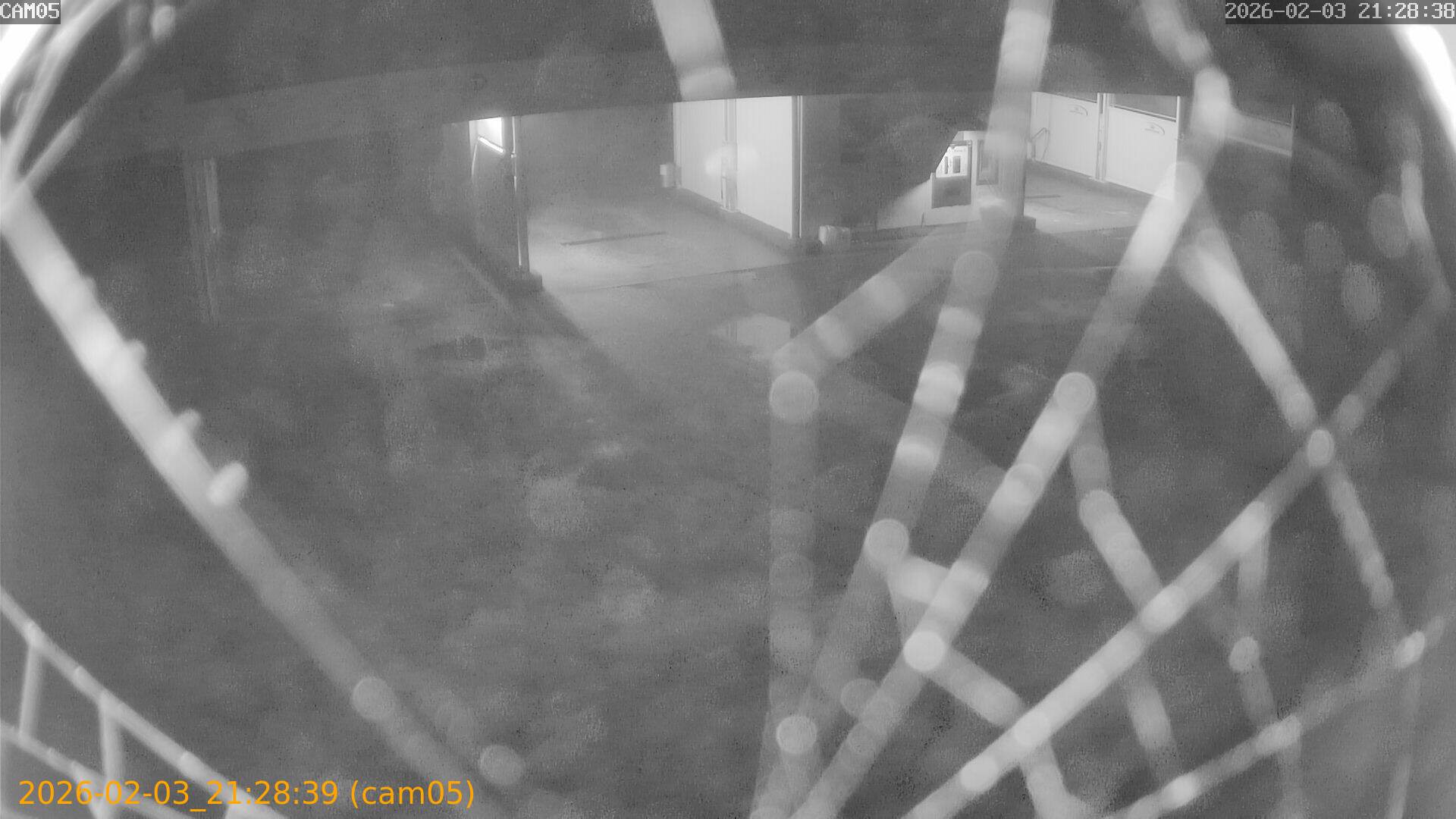 thumbnail_20260203212839