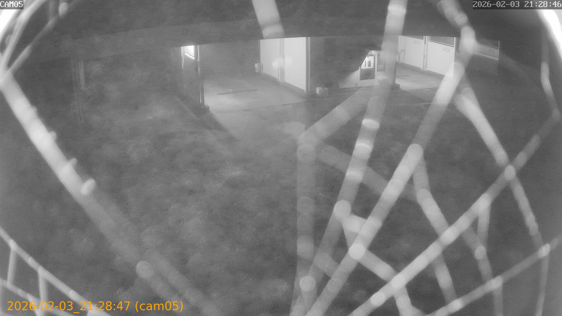 thumbnail_20260203212847