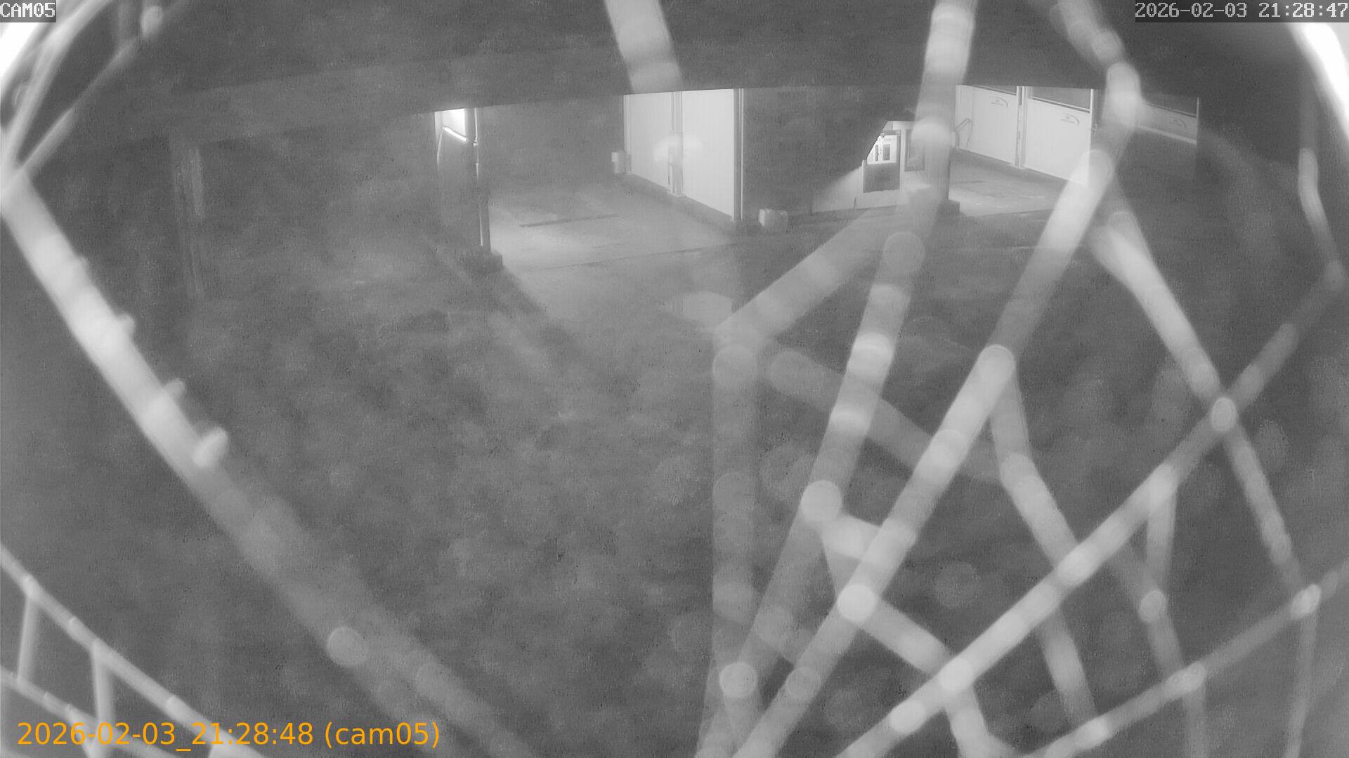 thumbnail_20260203212848