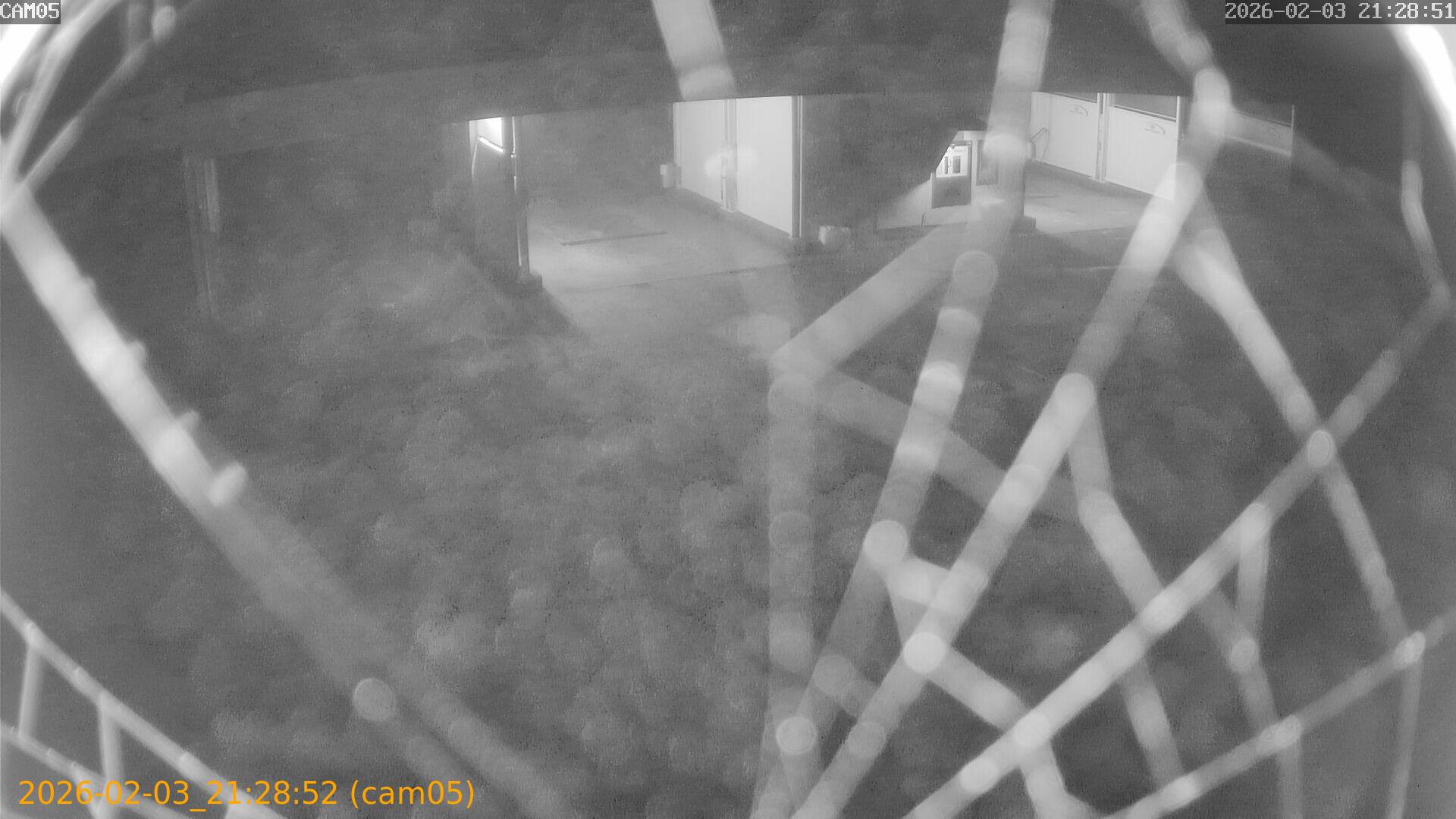 thumbnail_20260203212852